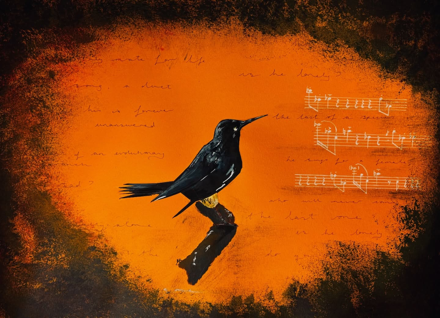 “The Last of a Species”
The story of Kaua’i ‘ō’ō remains one of the saddest stories I’ve ever heard. It - along with the hauntingly beautiful unanswered duet of the final male of the species - live rent free in my head, and have done for several years now.
This is not the first time I’ve turned to the beautiful ‘ō’ō as a #wildlifeartivism muse, and it won’t be the last either.
This beautiful bird died alone, unable to find a female mate, and unaware he was the last of a species (and of an entire evolutionary branch).
For this piece, I wanted to involve the feeling of peeking through the undergrowth to watch the last male. His song is visible on the right, with rests showing the gaps where the female bird would have responded, had he not been alone.
I also made the bird slightly 3D, out of several layers of black paper ✨ I wanted it to feel like an alive-shadow, a ghost that could fly out the page.
🎨 @cansonpaper (orange, yellow, black), @dalerrowney1783 fw acrylic inks, various pens
.
.
.
#wildlife #art #artist #sad @dswfwildlifeart @dswfwildlife @cornellbirds @btobirds @rspb @birdlife.international