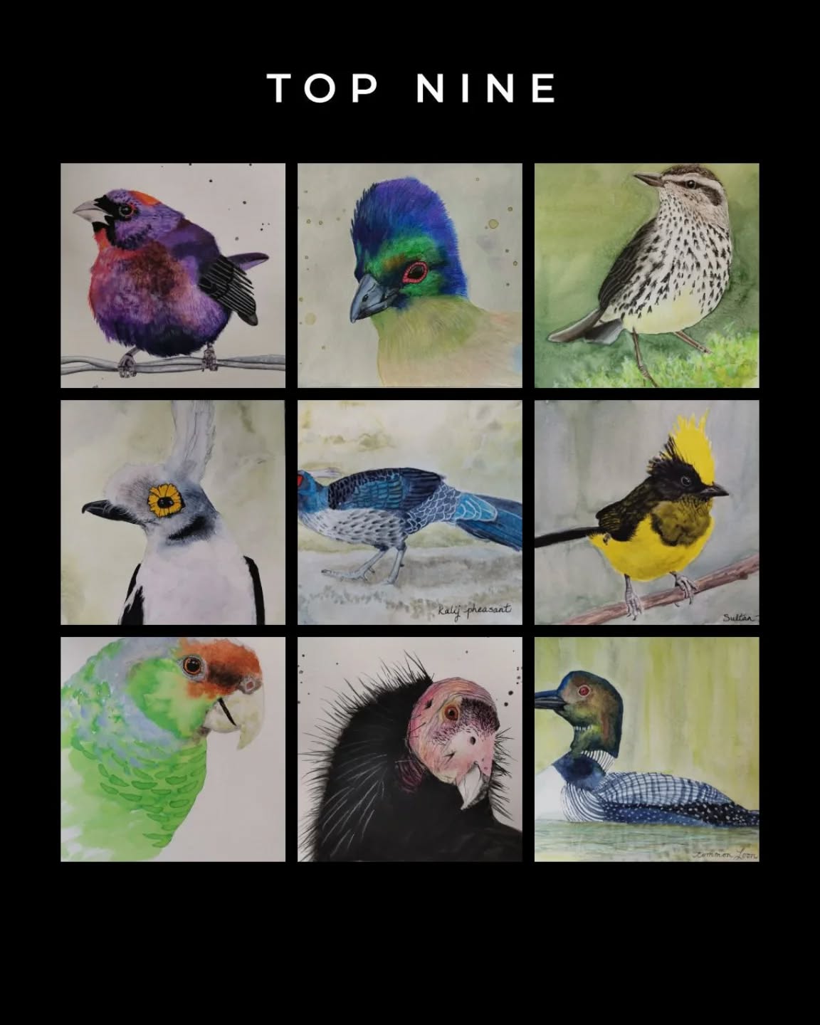 These are the top nine posts of 2025 according to Instagram. If I had to pick my top nine I think I would choose some other ones. Birdtober was a wonderful month and I'm looking forward to 2026.
#2025recap