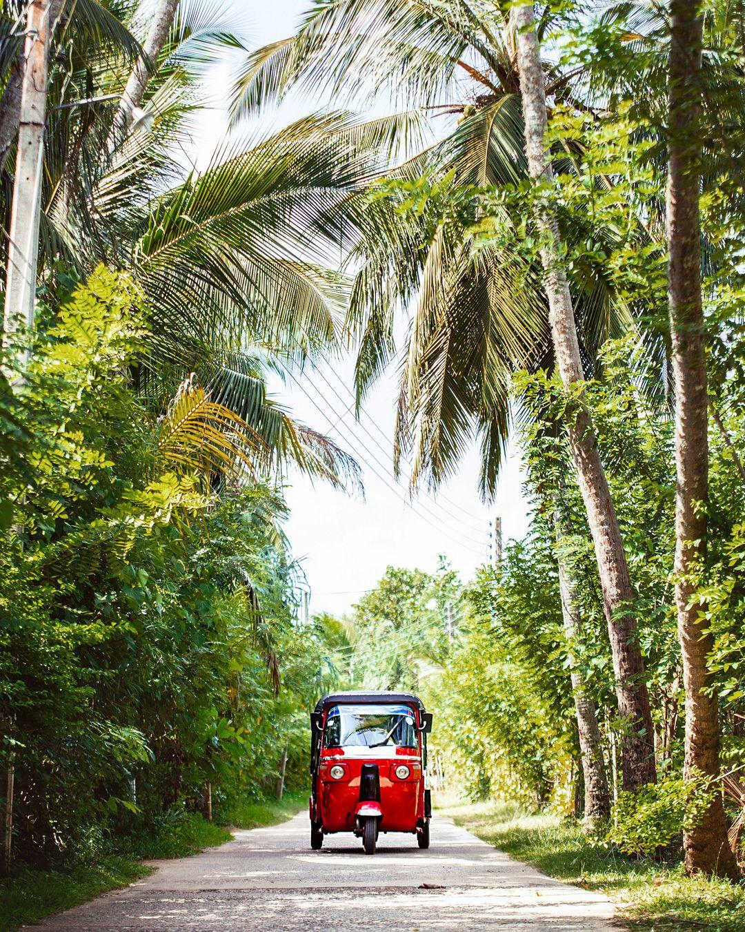 Why settle for just one dream destination when you could experience two?
Some of our favorite itineraries come from unexpected pairings, like Sri Lanka and the Maldives, Venice and Northern Croatia, or New Zealand and Fiji or French Polynesia.
These combinations create contrast, surprise, and a more profound sense of adventure. When it makes sense to add a second stop, for culture, nature, or complete relaxation, we will suggest it. That is the power of working with a travel advisor: turning a trip into something you never imagined.
Ready to explore the possibilities? Let’s talk
#novaknows #sovirtuoso #LuxuryTravelAdvisor #LuxuryVacation #luxurytravel #traveladvisor #ExclusiveExperiences #LuxuryHotels
.
.
.
.
#VIPTravel #LuxuryTravel #TravelAdvisor #HighEndTravel #TravelConcierge