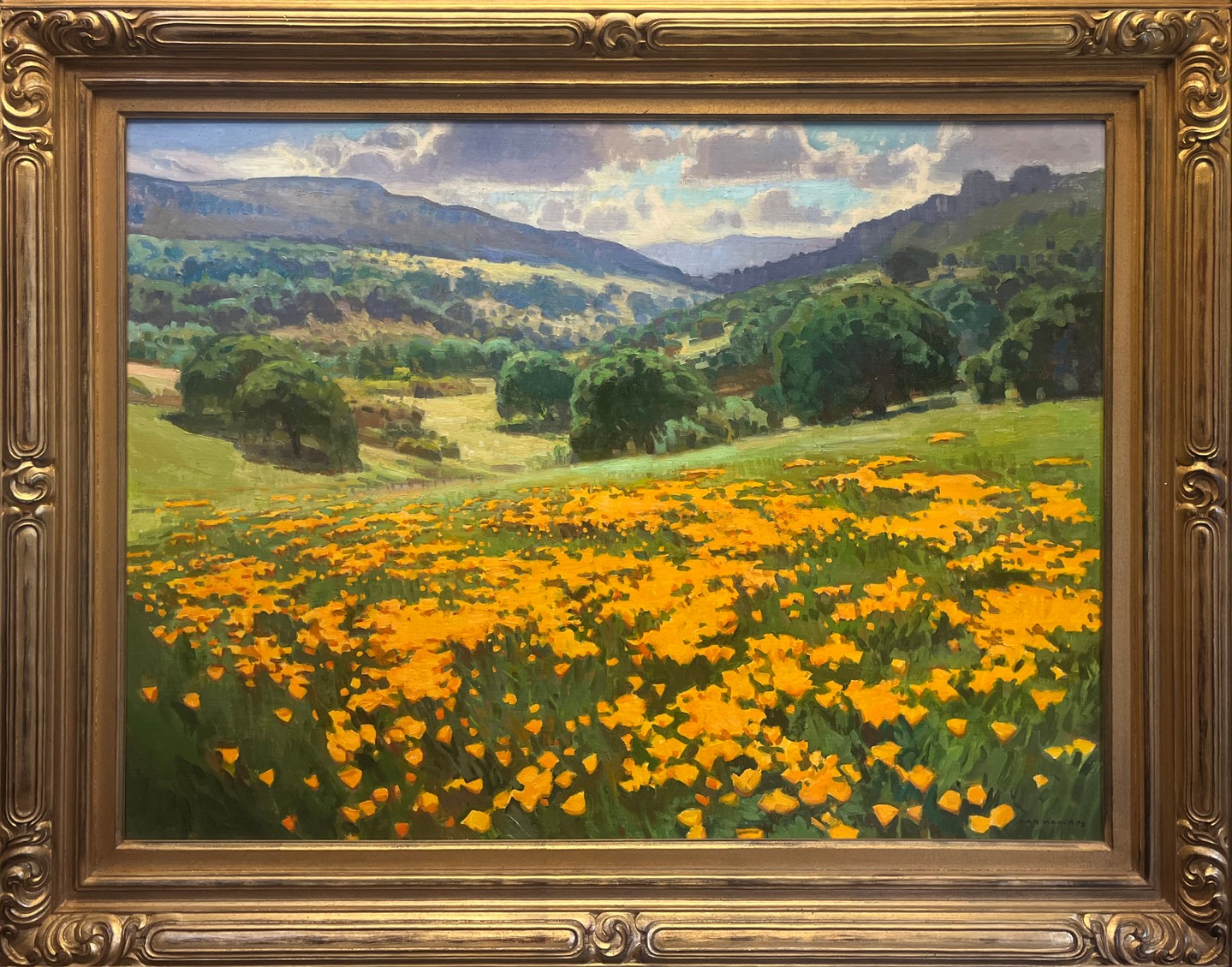 🌻 New Artwork Spotlight! One of several new California plein air paintings by Ray Roberts available on our website.
Ray Roberts
"Golden Foothills"
Oil on linen
30" x 40" artwork
"In Golden Foothills, I explore the Western landscape through the lens of color, light, and atmosphere. The poppy has long been a symbol of California as the state flower, and in this piece I aim to capture not just its brilliant hue, but the sense of place it evokes—sun-warmed hillsides, open air, and the understated drama of the coastal range.
My approach is based in direct observation. Painting on location allows me to respond to the shifting patterns of sunlight and shadow, to let the colors evolve as the day progresses. The poppies, though delicate, become anchors of intensity within the broader landscape—bursts of orange that guide the eye through space and create a rhythm across the canvas.
Ultimately, my goal is to honor the natural world by portraying it with sincerity and attention, inviting viewers to slow down and reconnect with the beauty that surrounds us."
—Ray Roberts
#pleinair #landscapepainting #painting #artgallery #contemporarytraditionalart #contemporaryart #artcollection #contemporaryartist #artforsale #artcollector #artcollectors #artforthehome #originalart #oilpainting #buyart #artcurator #fineart #paintings #painter #californiaartist #californiaart #californiaartists
