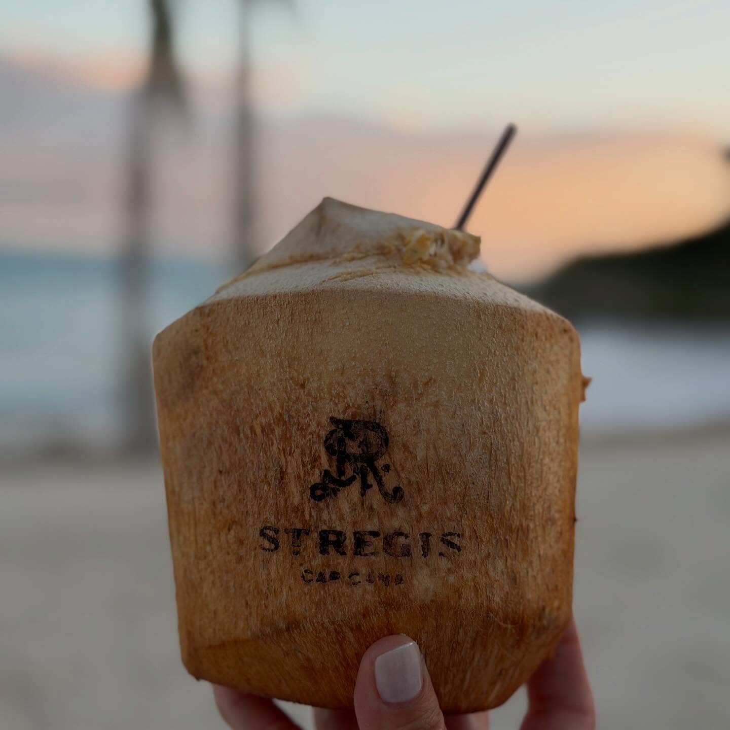 ✨ Speaking of the the Dominican Republic ✨
We recently traveled as a team on a Nova Vacations familiarization (FAM) trip and it couldn’t have come at a better time. We also celebrated another record year as a company, and there’s no better way to do that than doing what we love most… traveling with purpose.
FAM trips allow us to experience resorts firsthand so we can confidently match the right property to the right client. From room categories and layouts to service, food, and overall feel, there’s no substitute for seeing it yourself.
One highlight from this trip was the brand-new St. Regis Cap Cana 🤍
Set inside a gated community surrounded by golf courses, this resort is the epitome of refined Caribbean luxury.
• Beautiful guest rooms, swim-out suites, and residence-style accommodations
• Multiple stunning pools overlooking the ocean
• Several restaurants and bars with truly exceptional food and cocktails
• World-class spa, signature St. Regis service, afternoon high tea, and championship golf nearby
This is a resort you don’t just stay at… you experience. And seeing it in person reminded us exactly why this destination deserves a spot on your travel list.
Dominican Republic, done the St. Regis way.
@stregiscapcana @vanessarobinson_luxurytravel