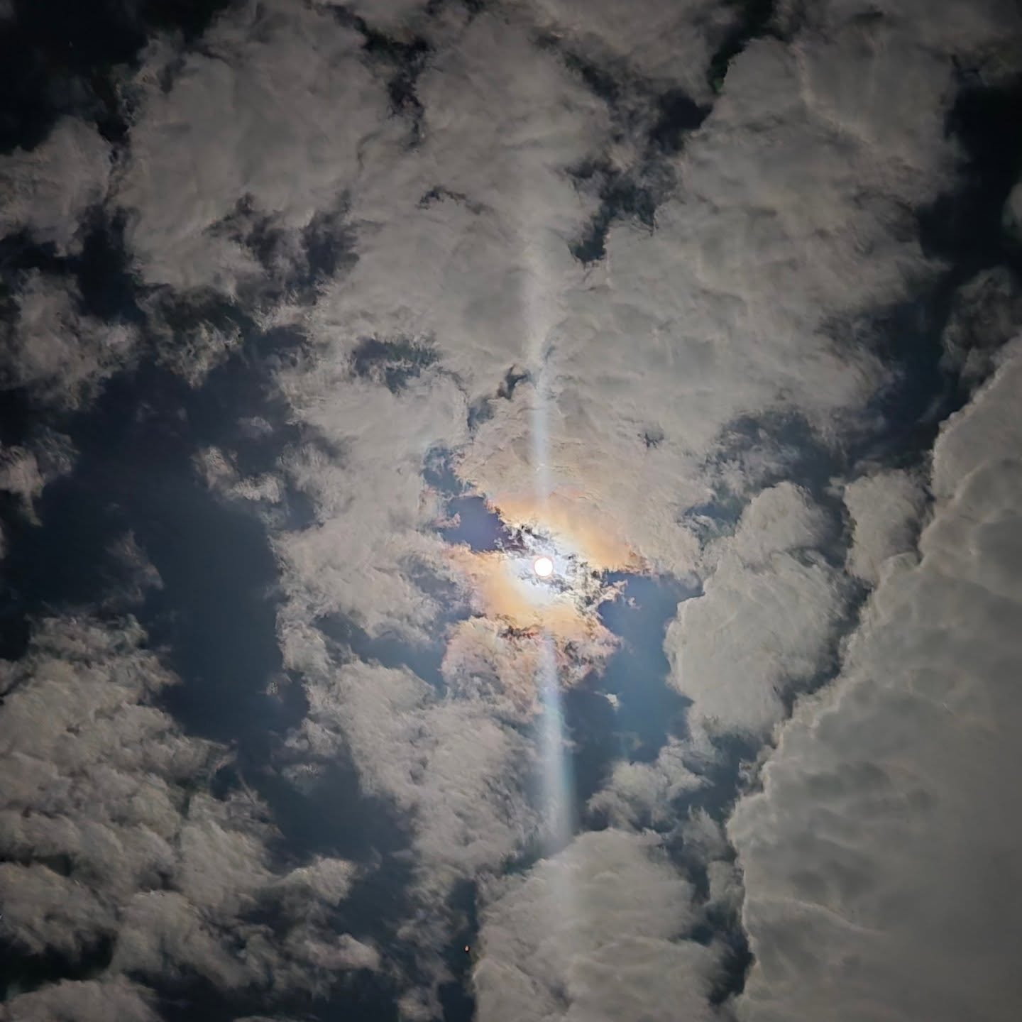 Be sure to check out the full moon tonight. Known as the snow moon or the cold moon, it rises in the east at 6:14 pm Eastern time and is the last supermoon of 2025. Supermoons appear larger than usual as they rise above the horizon due to their close approach to the Earth. If you miss it tonight, it will also be impressive tomorrow night when it will rise about an hour after sunset, per livescience.com. (photo taken the night before the full snow moon)
#easthaddamlandtrust #superman #december2025 #snowmoon