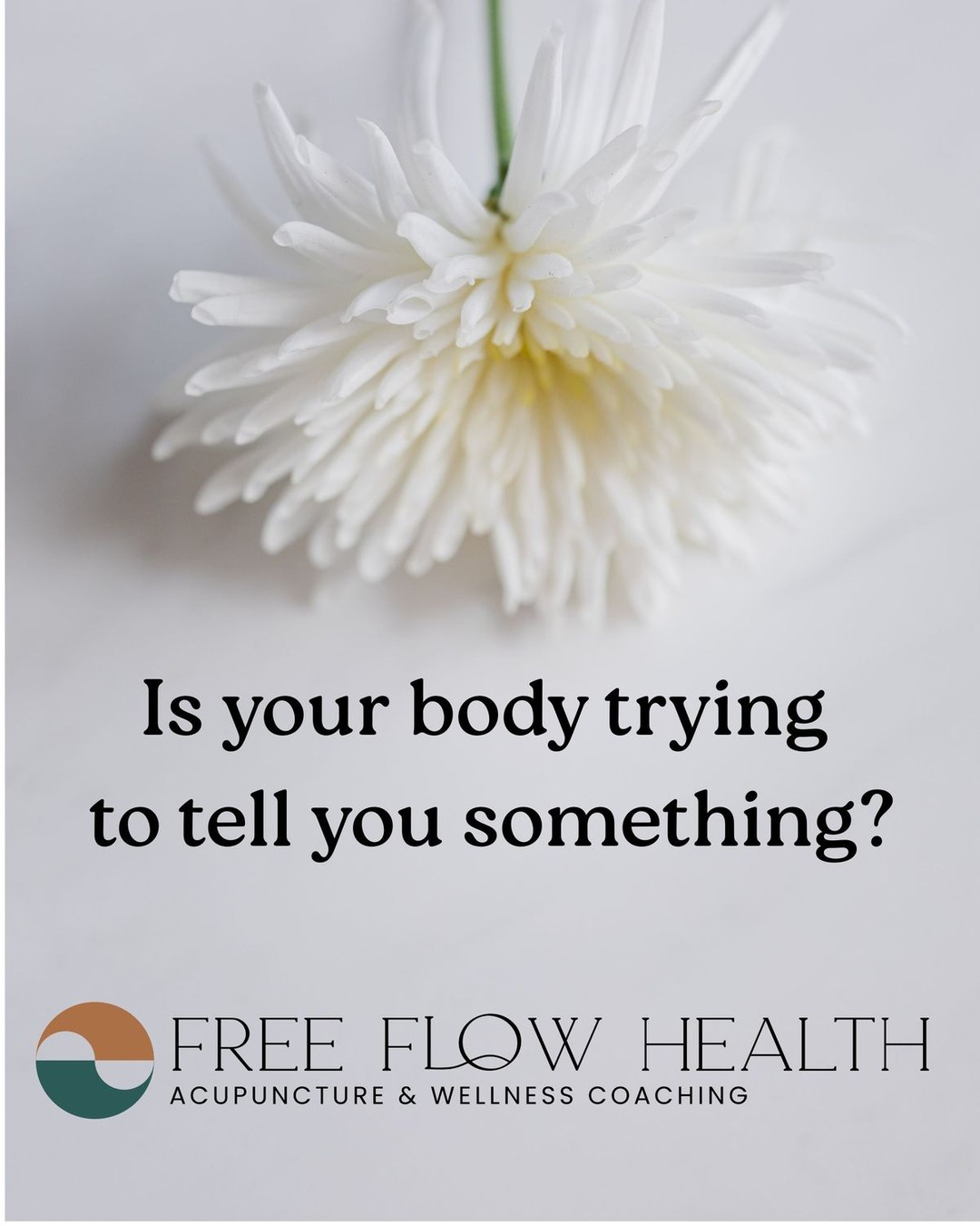 Most people think their symptoms are random… but in Traditional Chinese Medicine, nothing is random. Your body is sending a message.
💡 Fatigue → Could be Qi deficiency
💡 PMS → Might be Liver Qi stagnation
💡 Headaches → Possibly Blood deficiency or Heat
💡 Anxiety → Often Yin deficiency
Once we identify the underlying pattern, treatments like acupuncture, herbs, and lifestyle adjustments can actually create lasting change.
Curious what your body is trying to tell you? Book an intial today. Link in Bio!
#AcupunctureSanDiego #TCM #TraditionalChineseMedicine #PatternDiagnosis #WomensHealth #AcupunctureWorks #SanDiegoWellness