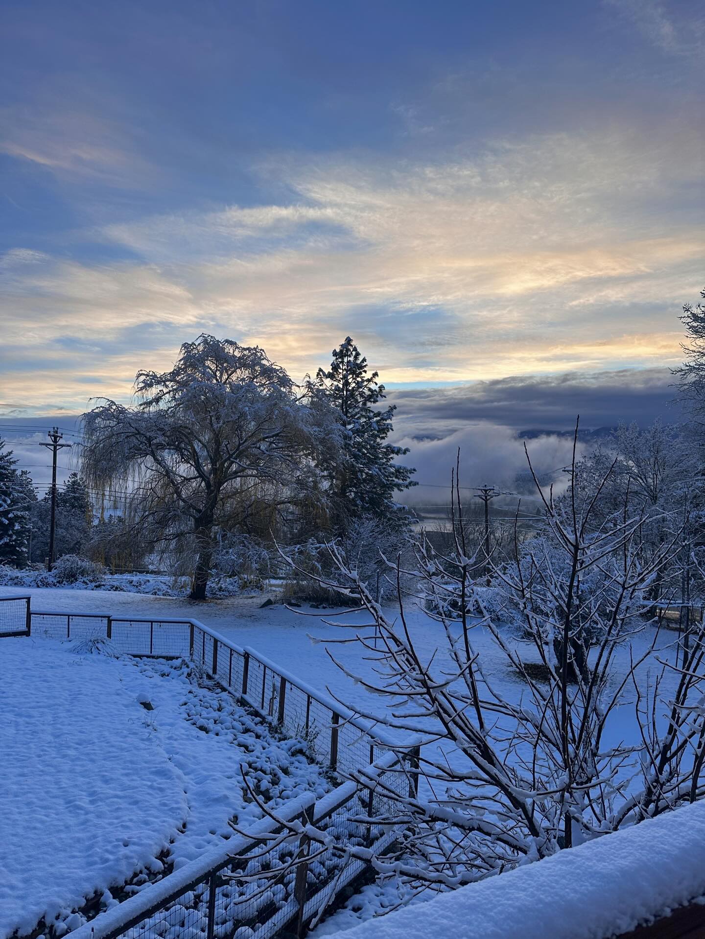It’s a beautiful morning!!!