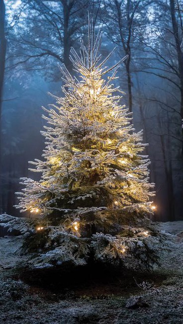 JLM Holiday Hours 🎄Make a note 📝 !
We will be back to our regular opening hours and ready to take on 2026 on January 5th (aka Rody’s birthday!!!🎁 🎉🥳) !
#JLM #holidayhours #homefortheholidays #hohoholidays