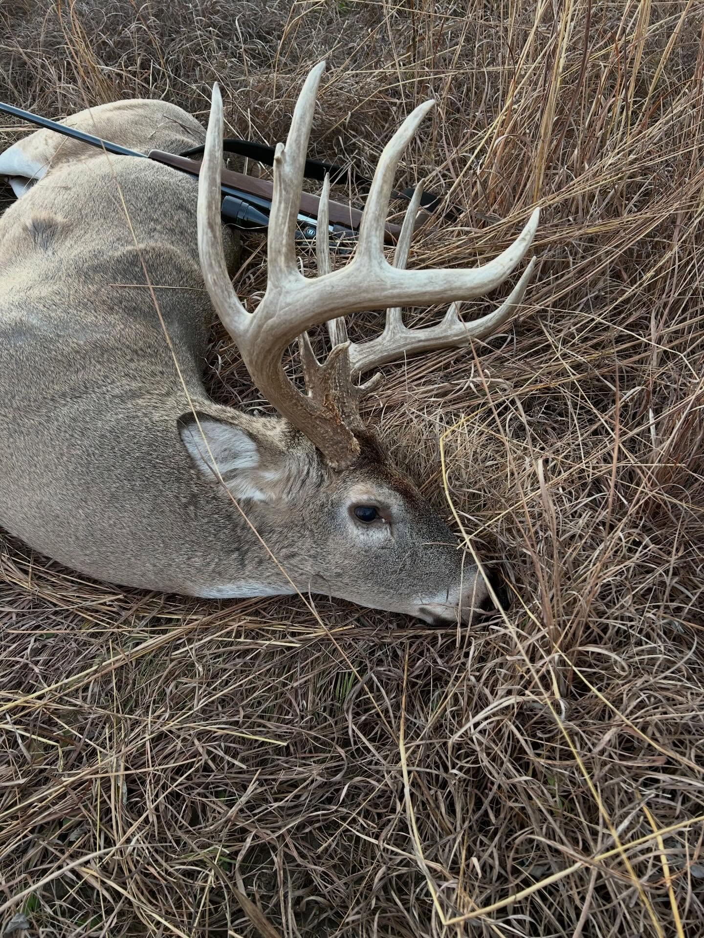 Some more great deer harvested and sent in from customers!!
.
.
.
#takeyourdeertothenxtlevel #nxtleveldeersupplements #supplementsthatwork #letemgrow