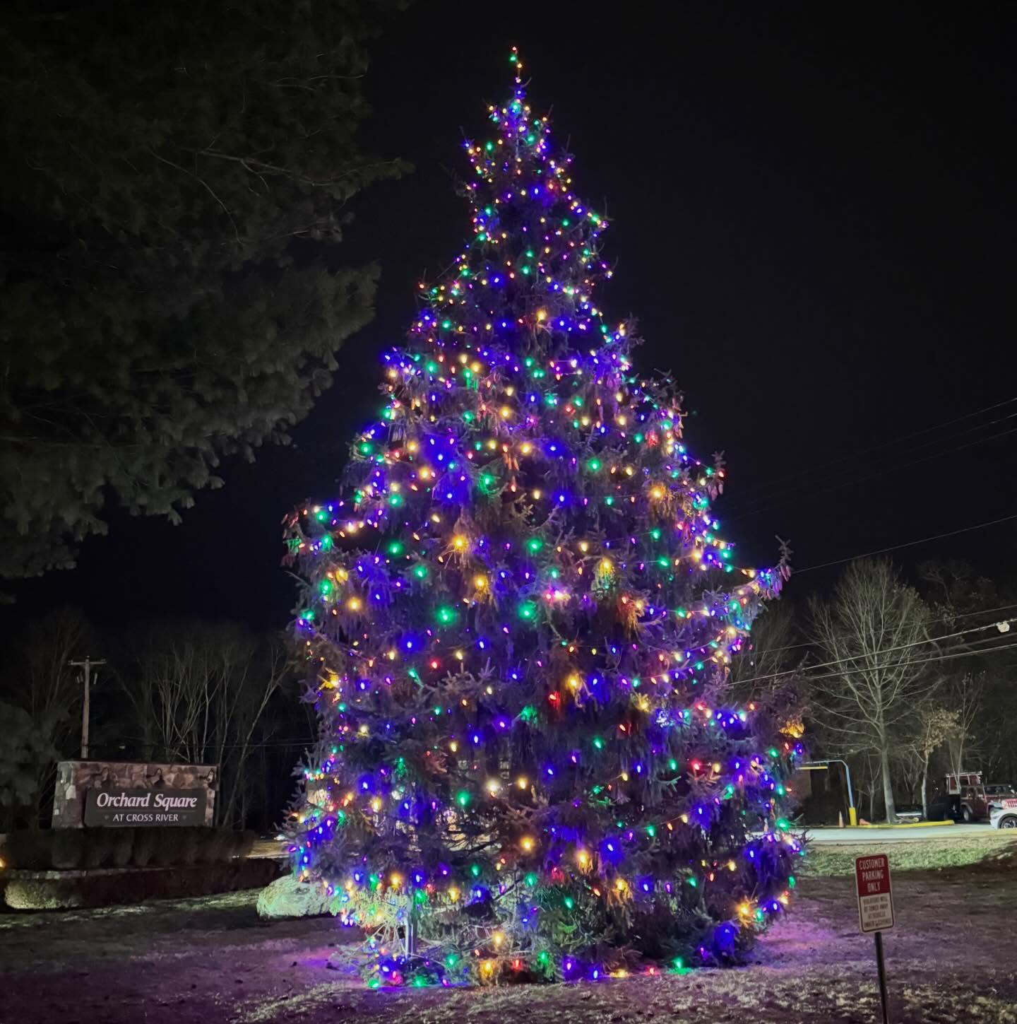 Thank you to our Parks Crew, Tom & Drew Beck of Tom Beck Landscaping and Kyle Jones of Paul’s Outdoor Service for stringing the lights on the tree at Cross River Wine Merchant!🎄