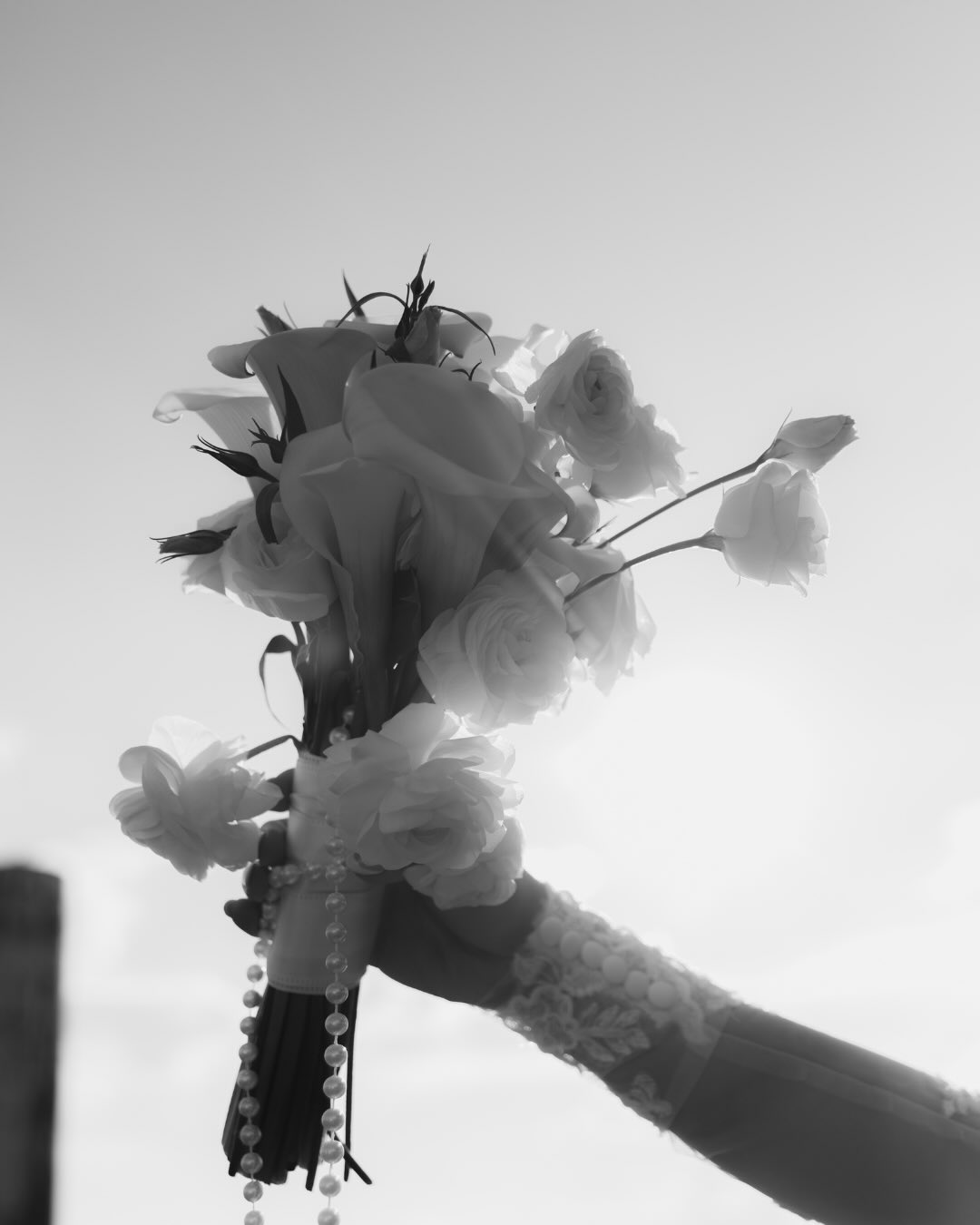 All because two people swiped right 📲
Mae + Christopher were an absolute DREAM to work with! September weddings hold a special place in our heart here at The Social Edit 🕊️
September 20, 2025 Vendor Team
Venue @talon_wine
Photo + Video @jjphotoandfilm
Coordination @thesocialeditky
Catering @bayoubluegrasscatering
Florals @bayoubluegrasscatering + Creative Expressions
DJ @chris_dedman_productions
Officant | Pastor Greg J Horn
Dessert | Selena’s Cake Pops and More
Makeup @a.speakemakeupartistry
Hairstylist @magnoliasalonandspa