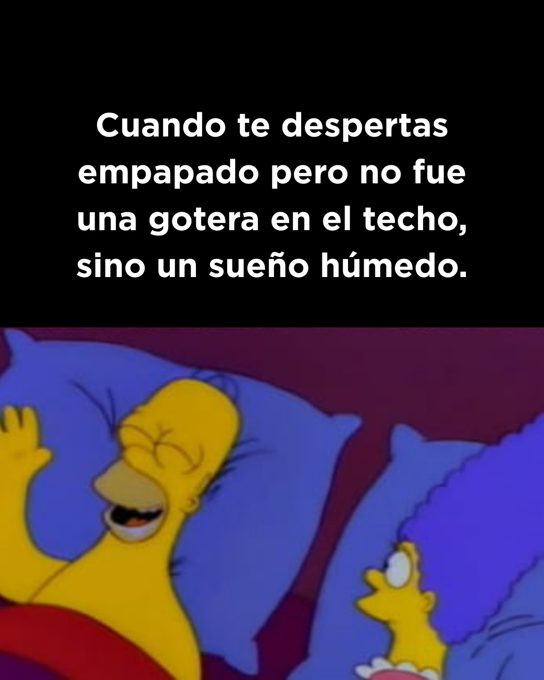 Memes para combatir el calor 🔥
Atentos a esta semana de Black Amigos, previa de Navidad y previa de Fin de Año.
Dos Amigos va a cerrar el 2025 con todo, no te podés perder de nada 😌