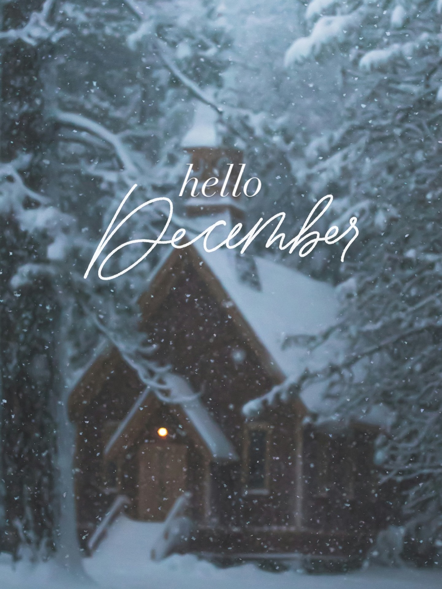 Happy, “Let’s circle back after the holidays” season to all who celebrate!❄️
(It’s also a GREAT time to take the pressure of posting on social media off your shoulders, just saying.?)
officiallysocial.com
#december #newmonth #newgoals #socialmedia #officiallysocial #femaleownedbusiness #socialmediamanagement