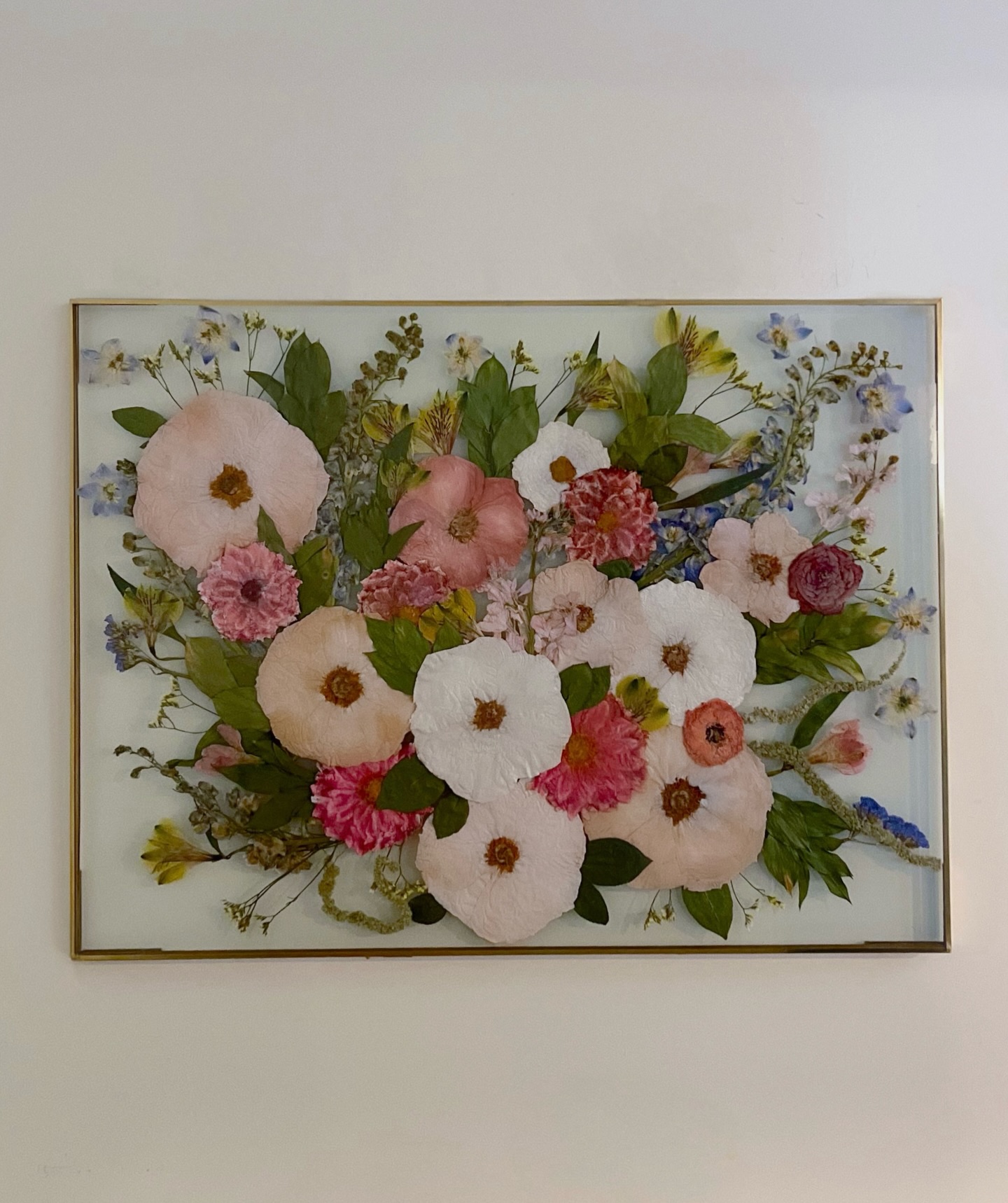 Pressed florals, thoughtfully displayed 🌸 Our double glass gold float frames create the illusion of flowers floating effortlessly, allowing light to pass through every detail. One of our favorite ways to showcase sentimental blooms 💓
#weddingbouquetpreservation #pressedflowers #preservedflowers
pressed wedding flowers, wedding bouquet preservation, pressed wedding bouquet, flower preservation, bouquet pressing, pressed floral art, bridal bouquet keepsake, wedding flower keepsake, real flower artwork, custom flower preservation, hand pressed flowers, heirloom bouquet art, wedding day flowers, bridal keepsake, timeless florals, dried wedding flowers, flower pressing artist, custom floral frame, preserved wedding florals, handmade wedding keepsake