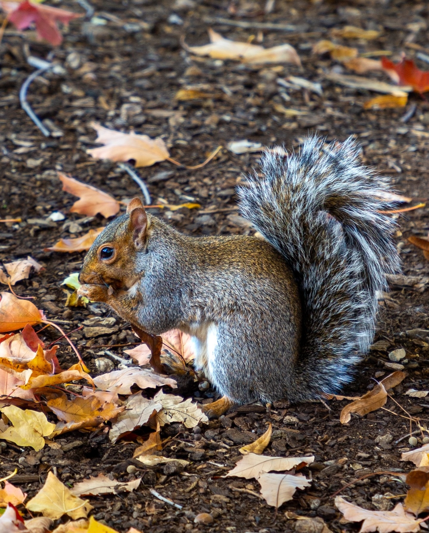 Sometimes, there’s no place like home. ✈️