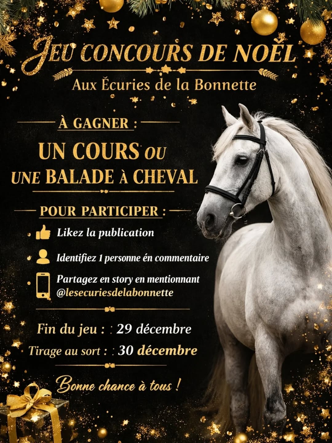 🎄 JEU CONCOURS DE NOËL 🎄
Pour vous remercier de votre fidélité et pour célébrer cette fin d’année, Les Écuries de la Bonnette sont heureuses de vous offrir un cadeau de Noël 🎁
✨ À gagner :
🐴 Un cours d’équitation ou une balade aux Écuries de la Bonnette
👉 Pour participer :
✔️ Liker ce post
✔️ Être abonné au compte
✔️ Identifier une personne en commentaire
✔️ Partager ce post en story en mentionnant @lesecuriesdelabonnette
📅 Fin du jeu concours : 29 décembre
🎉 Tirage au sort : 30 décembre
Bonne chance à tous 🍀
Merci pour votre soutien tout au long de l’année 🤍