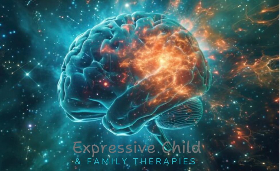 When we lose our temper our amygdala, the emotional alarm center of the brain, overrides rational thought and floods our system with stress chemicals that keep us reactive for hours.
But when we can notice and interrupt the impulse and instead pause or choose calm, our prefrontal cortex, which is responsible for logic and self-control, strengthens its connections and reshapes our brain over time, making it easier to think clearly, stay balanced, and avoid being controlled by fleeting emotions.
