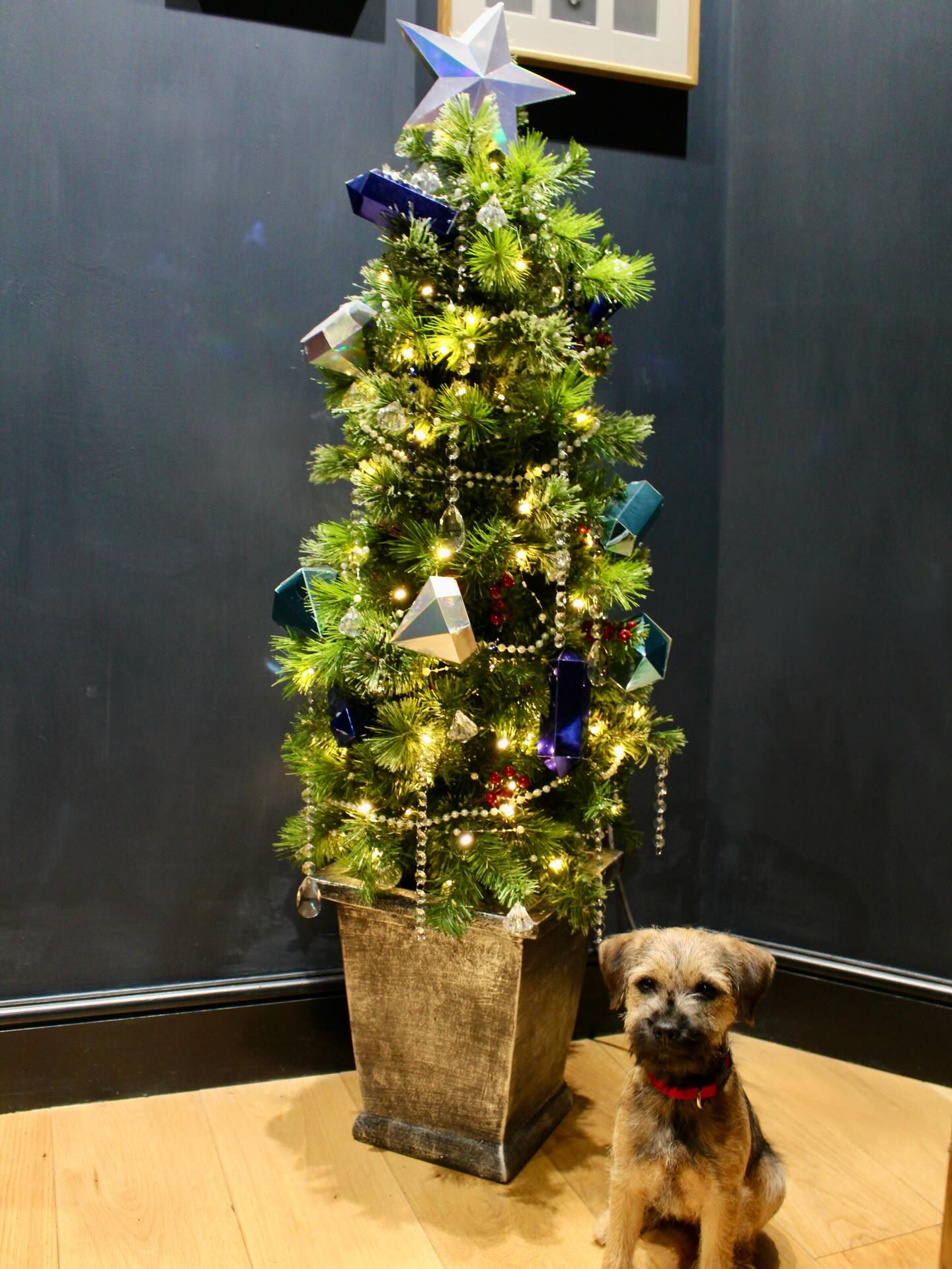 Wishing all our fabulous clients, friends and followers a very Happy Christmas.
Many thanks for all your custom and support throughout the year it is hugely appreciated xx
We hope that everyone who celebrates enjoys the festivities and we wish you all a happy, healthy and prosperous 2026
Warmest wishes Catherine, Andrew, Beth, Bertie🐾 & Monty🐾 xx
#merrychristmaseveryone #seeyouontheotherside
#thomasgloverjewels #christmaswishes #antiquejewellerylover