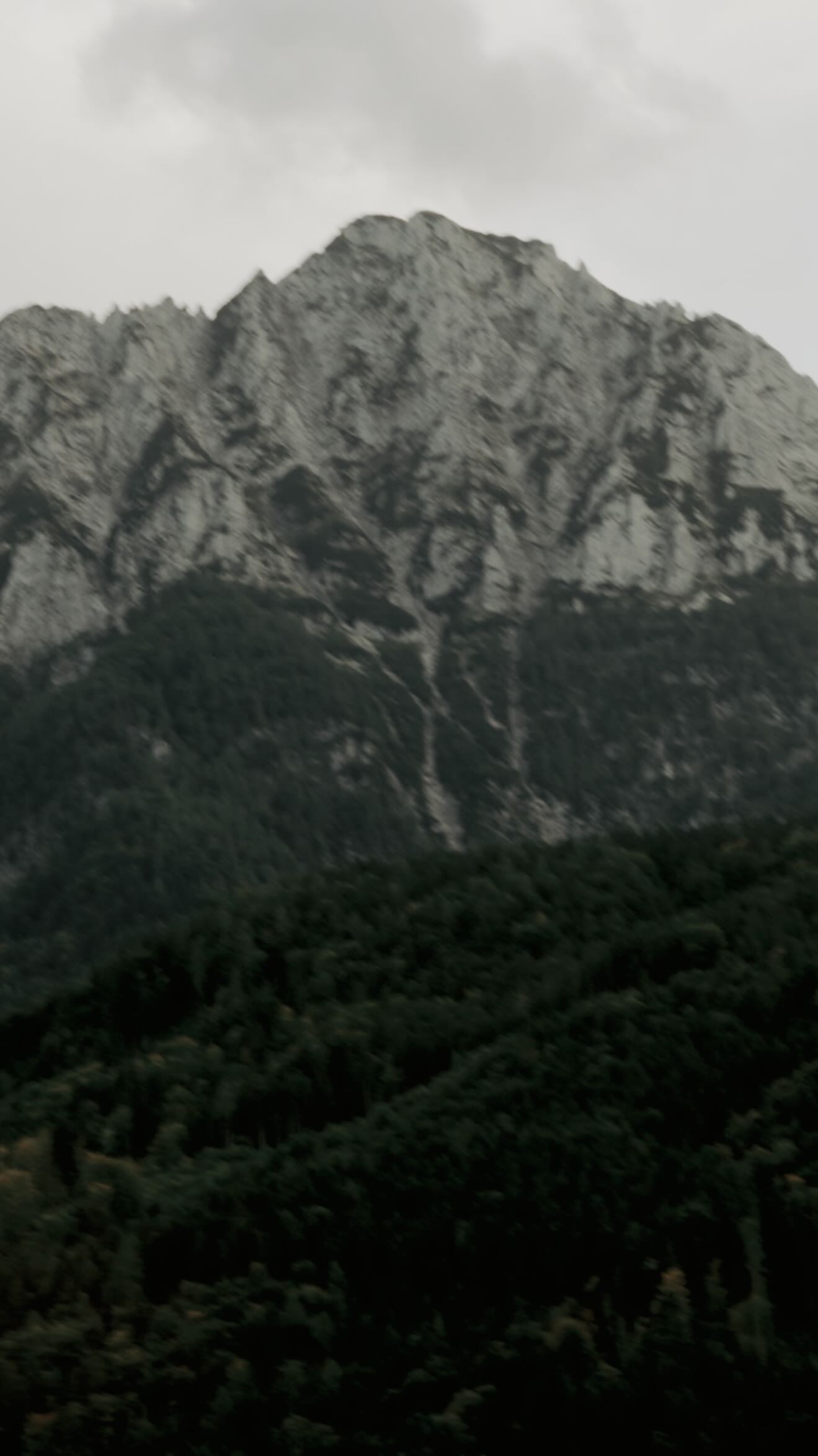 Für besondere Hölzer gehe ich weit.
Zwischen Bergen und Bäumen finde ich die Hölzer, aus denen Unikate entstehen.
Ich fahre weit, weil Qualität, Herkunft und Charakter für mich entscheidend sind.
#holzmanufaktur
#handwerk
#drechselarbeit
#holzliebe
#unikateausholz