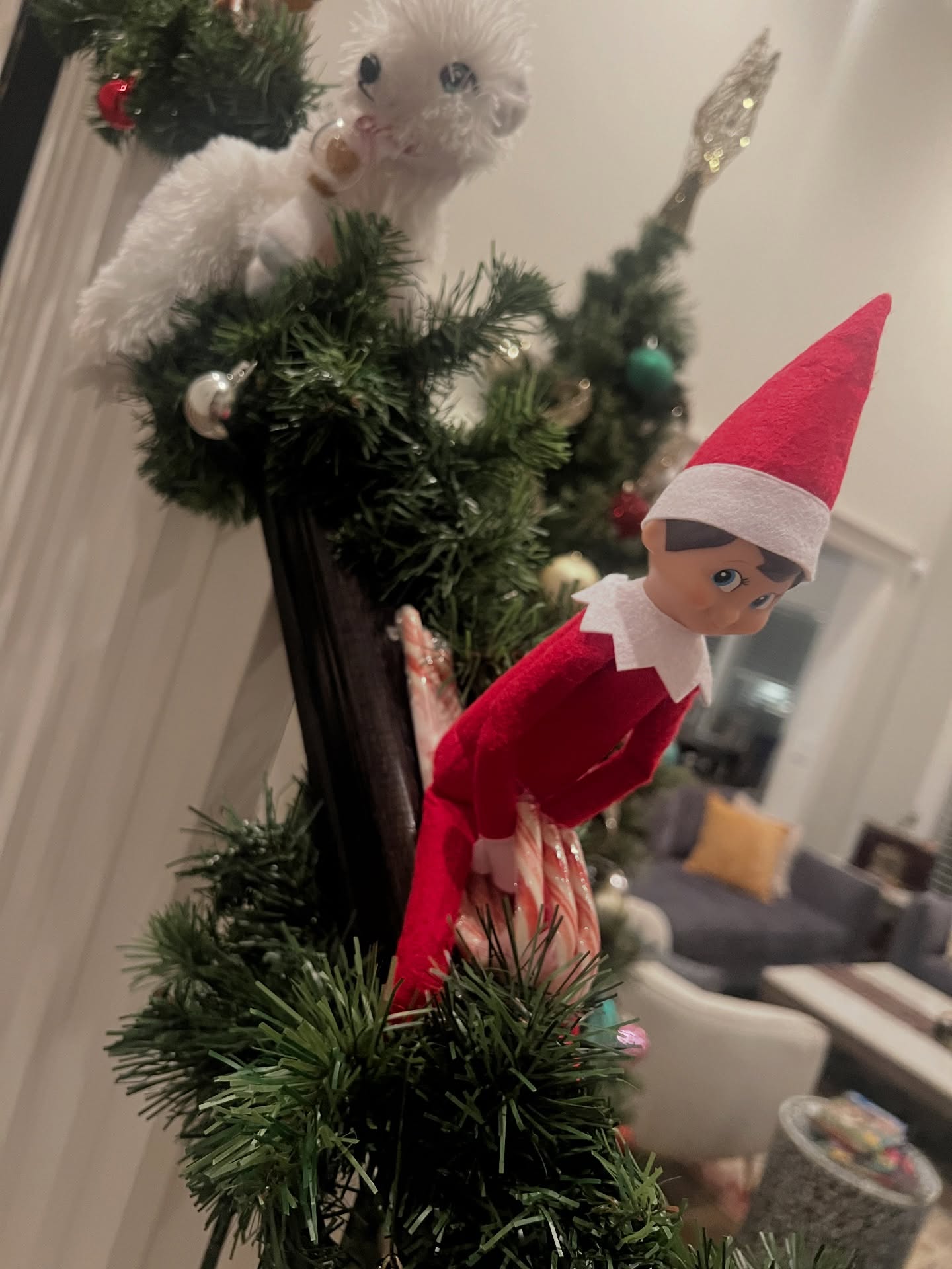 There was a lot more to December than shoe recs and hunting for the perfect men’s denim: perfecting my chili recipe, getting our family portrait painted, enjoying snow days, teaching you all the magic of pizza grilled cheese, matching stripes with 👦🏼 for Christmas Eve mass, lots and lots of travel, clearing Amazon lists for local teachers, moving the damn 🧝 every night. A busy but magic month to end to a wild year!