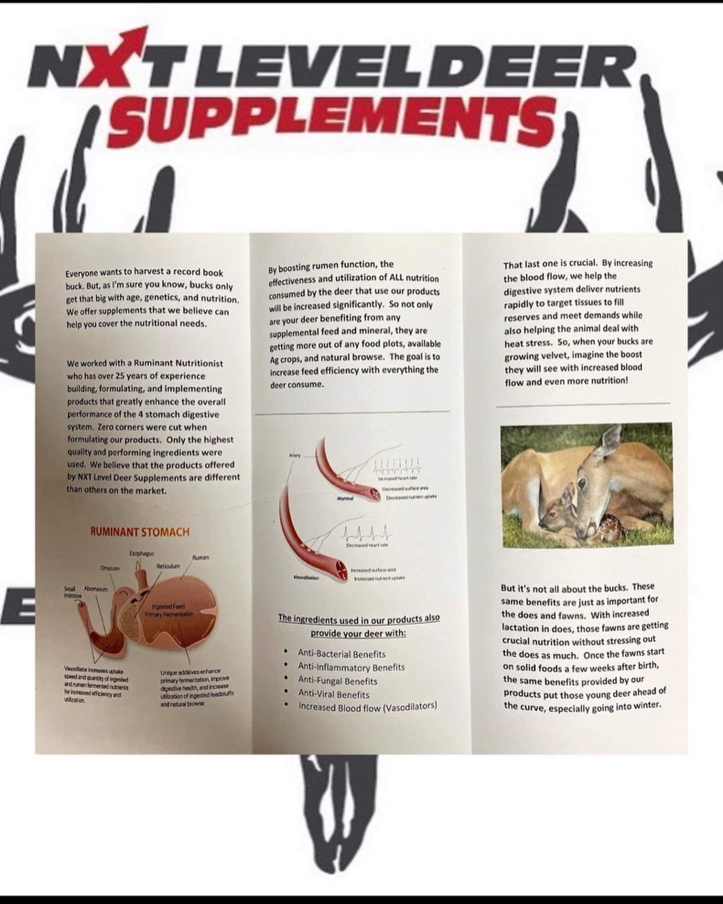 Our products are designed for performance. Period. Don’t feed your deer just to feed them. Make an impact.
.
.
.
#vasodilators #yucca #heardhealth #realnutrition #nogimmicks #trysome #deernutrition #deerhunting #bowhunting #whatgetsyououtdoors #fallwinterpellets #nxtlevel #nxtleveldeersupplements #letemgrow #takeyourdeertothenxtlevel