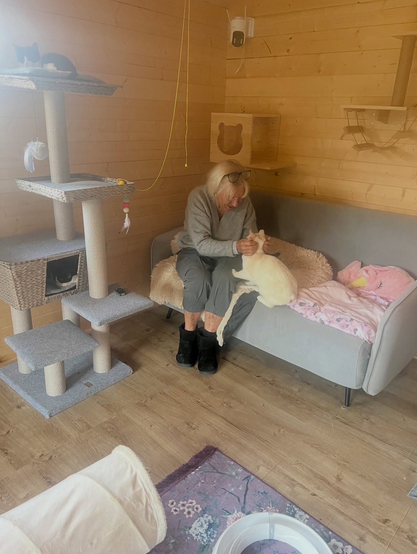 Onze Bugs valt met zijn 𝘬𝘰𝘯𝘪𝘫𝘯𝘦𝘯𝘬𝘰𝘯𝘵𝘫𝘦 in de boter! 🐰🧈
Hetty, een lieve kennis én een van de allerliefste poezenmama’s die ik ken, viel als een blok voor Bugs toen ze zijn foto’s op onze pagina’s zag. Ondanks dat ze al twee poezen heeft die bij haar en haar man een leven leiden als 𝘎𝘰𝘥 𝘪𝘯 𝘚𝘱𝘢𝘯𝘫𝘦 in hun prachtige hotel hier vlakbij, wilde ze Bugs dolgraag ontmoeten.
De liefde was wederzijds… en overmorgen gaat onze Bugs naar huis! 🥰
Van de straat naar het paradijs — wat zijn we ongelooflijk blij voor hem.
We gaan hem hier missen. De andere poezen en katten ook, want hij heeft de liefste ziel in zijn prachtige lijfje die je je maar kunt bedenken. Maar gelukkig woont hij dichtbij, en kan ik af en toe nog genieten van zijn innige knuffels 💕
Bugs jongen… wie had ooit gedacht dat jij gewoon in een prachtig hotel zou gaan wonen, zonder overnachtingen te hoeven betalen 😉🐾