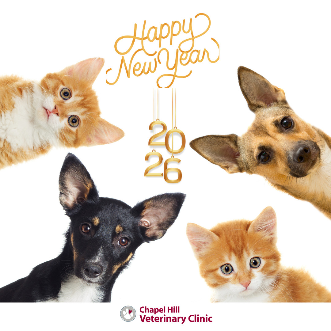 โจ๐พ Wishing you and your pets a healthy, joyful, and bright New Year. Thank you for trusting us with their care. โค๏ธ