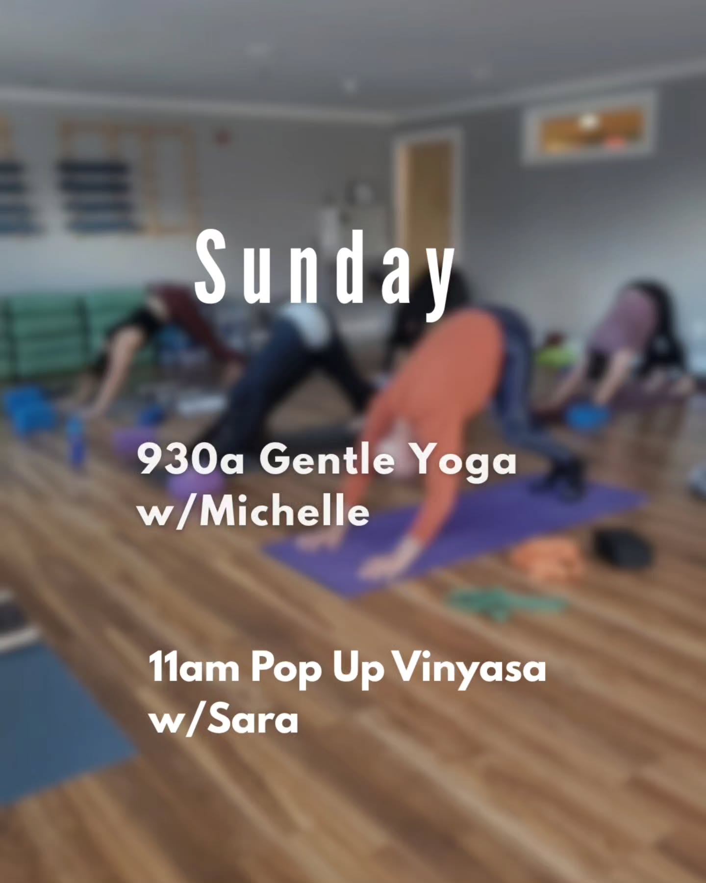 Join Michelle for 930am ✨️ and at 11am Pop up with Sara✨️ see you on your mat soon #yogis
#simplifyoga #riyoga