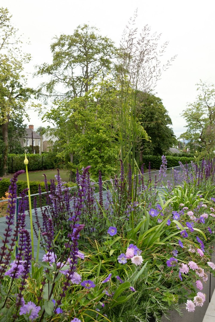 Hard and soft landscaping are tightly integrated at Sandymount House.
The work to Sandymount House comprises the extension and refurbishment of this prominent dwelling on the coast of Blackrock, County Louth. Located 20m from the beach with views of the Cooley and Mourne Mountains, the house was restored with original features enhanced by contemporary elements. Broad horizontal floor plates and extensive glazing dominate the modern extension, embracing the landscaping and complementing the original building.
The interior design was developed in conjunction with Roisin Lafferty and her team and features sumptuous and meticulously detailed materials and finishes.
Barbara Corsico took these beautiful photos of the project.
http://bit.ly/39ZqFVZ