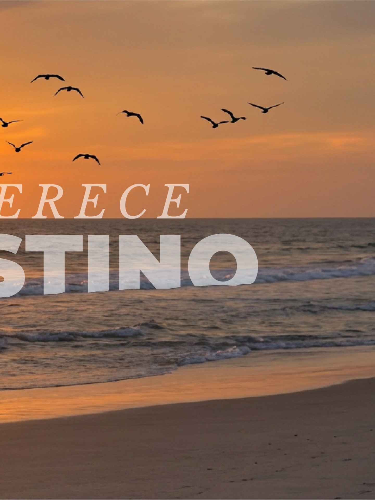 ¡UN NUEVO AÑO MERECE UN GRAN DESTINO!
Haz tu reserva al +503 7856 6504.