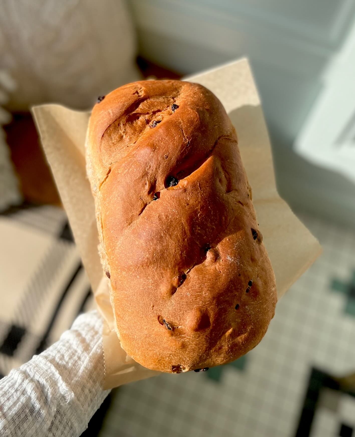 Tuesdays are for Cinnamon Raisin Bread! 🍞
As the new year begins, we find ourselves returning to what we do best. While time moves forward, a few bakery staples remain unchanged—and one #mackenziesfavorite we simply won’t negotiate is our classic Cinnamon Raisin Bread. 🥖
This loaf is baked to be exceptionally chewy and moist, with cinnamon and raisins folded throughout the dough so each slice delivers a perfectly balanced, cinnamon-forward bite—no matter how you slice it. 🫶🏻
This recipe is so irresistible that we often find ourselves sneaking a slice mid-shift, but we promise it’s even better toasted and generously layered with butter first thing in the morning! 🧈
#yourlocalbakery #vicksburgmi #bakedwithlove #kzoobakery