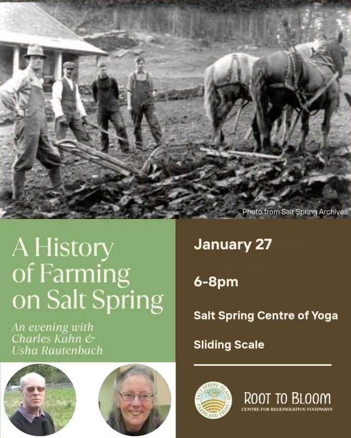 🌾 A History of Farming on Salt Spring
January 27 | Salt Spring Centre of Yoga | Sliding Scale
Salt Spring Island was once known as a breadbasket of the province — exporting apples by the thousands and sustaining vibrant farming communities. Today, most of our food is imported.
On January 27, historian and researcher Usha Rautenbach and author Charles Kahn lead an evening exploring how Salt Spring’s food systems have evolved — from Indigenous stewardship practices to settler agriculture shaped by Hawaiian, Japanese, Black, and other farming communities.
Drawing on archival research, lived experience, and decades of community knowledge, this conversation looks honestly at the island’s agricultural past and asks what it can teach us as we face challenges around land access, climate resilience, and food justice.
Part of Salt Spring Farmland Trust’s Root to Bloom series.
🌱 Come reflect on where we’ve been — and where we might go next.
🔗 Find the registration link in our bio