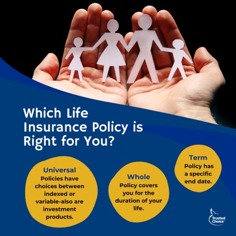 Did you know there are different kinds of life insurance policies?
Contact us at 248-438-8008 or clients@honestinsurancebrokers.com