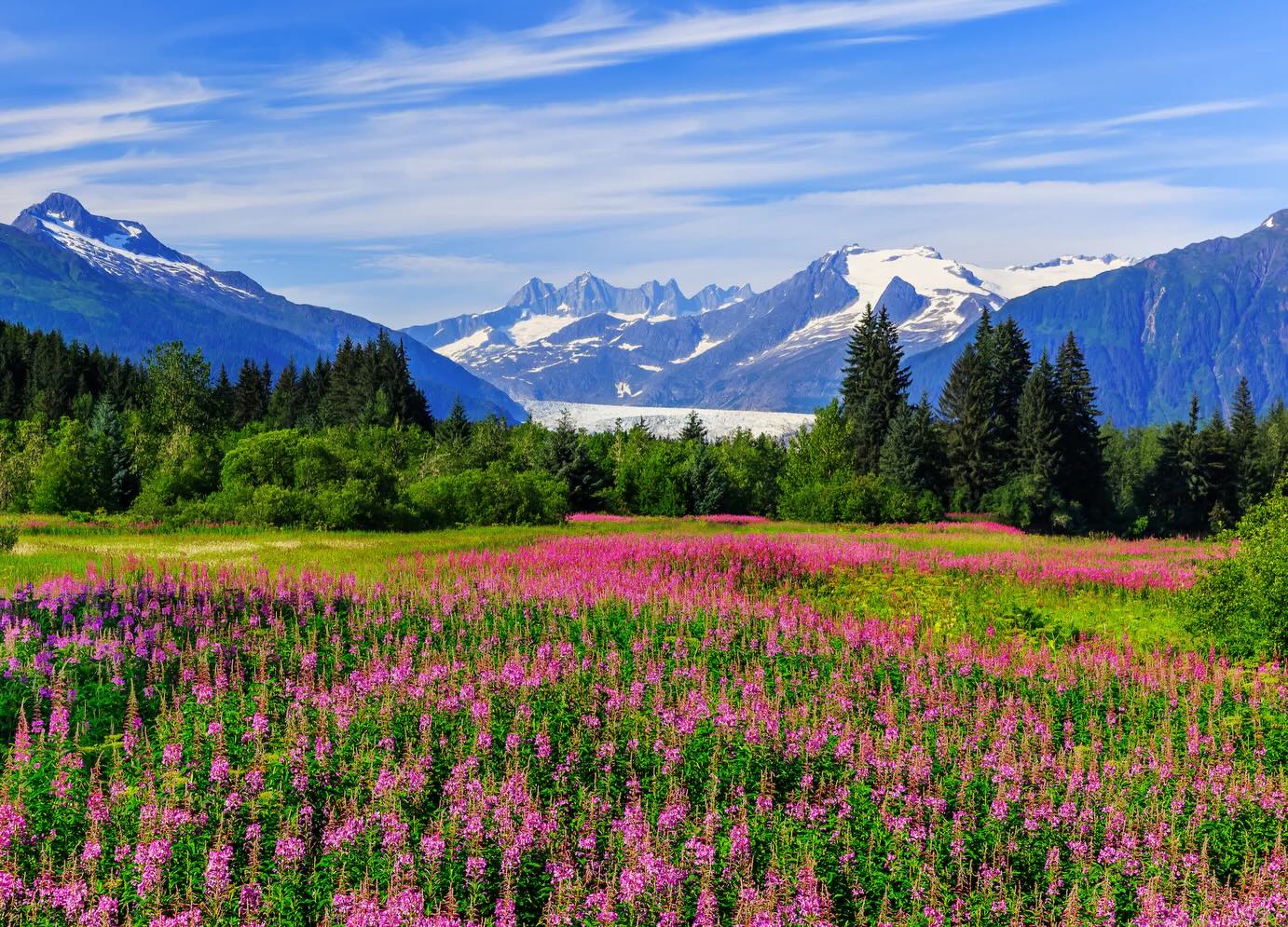 Just booked an unforgettable Alaska land adventure for clients this summer! 🌲🫎🐻
They’ll start in Anchorage, spotting moose and beluga whales, then ride the Alyeska Aerial Tram for glacier and mountain views. Next, they’ll enjoy Gold Star service on the Alaska Railroad to Seward for a Kenai Fjords wildlife cruise, seeing whales, sea otters, and glaciers. From there, it’s on to Denali National Park for breathtaking scenery, wildlife spotting, and a Denali Highway Jeep adventure.
Alaska, here we come!
#AlaskaAdventure #KenaiFjords #DenaliNationalPark #AlaskaRailroad