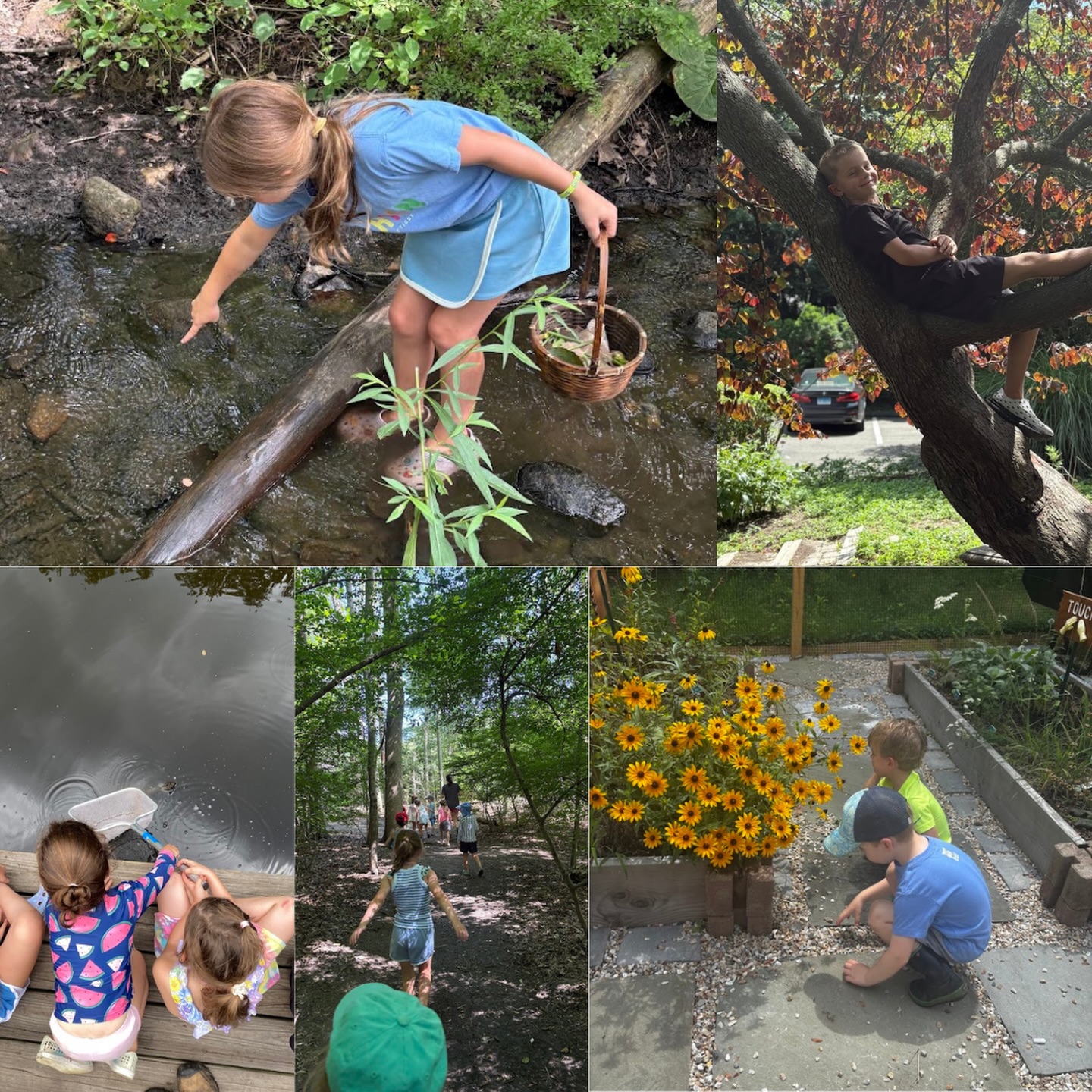 Summer Camp 2026 registration launches tomorrow for current families and members!!! Here’s a quick look back on Summer Camp 2025! ✨????? #darienct #dariennaturecenter