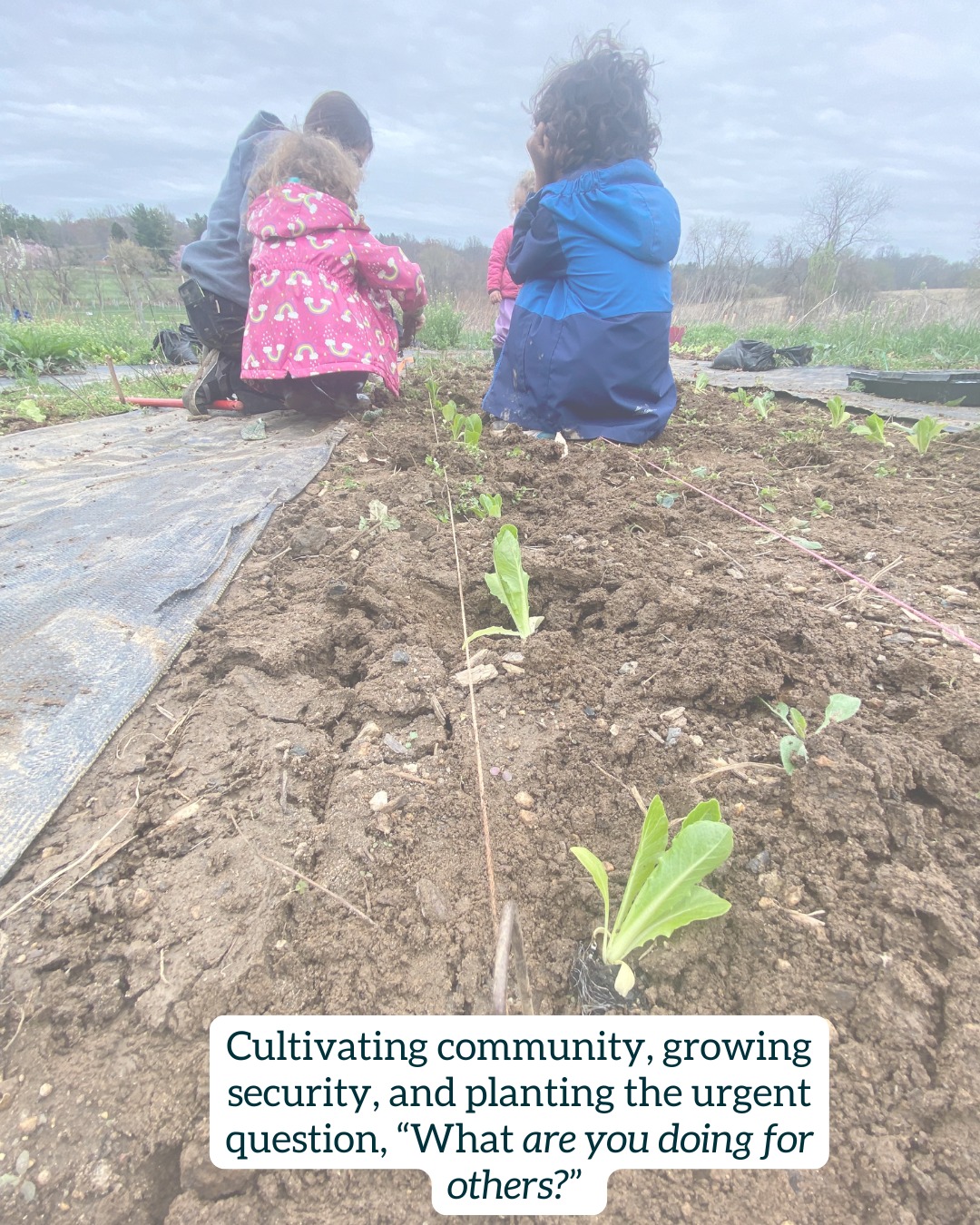 At Emergent Abundance Farming Collective, we honor Martin Luther King Jr.ās values by cultivating community, growing security, and planting the urgent question he posed: āWhat are you doing for others?ā
Our community-led garden turns teamwork into real food securityāseasonal produce shared with neighbors, hands-on skill building, and stronger, more resilient connections rooted right here. š±š¤
Join us this spring in the garden and be part of a team sharing abundance.
#EmergentAbundance #MLKDay #WhatAreYouDoingForOthers #CommunityFood #FoodSecurity #GrowTogether #NeighborhoodResilienc