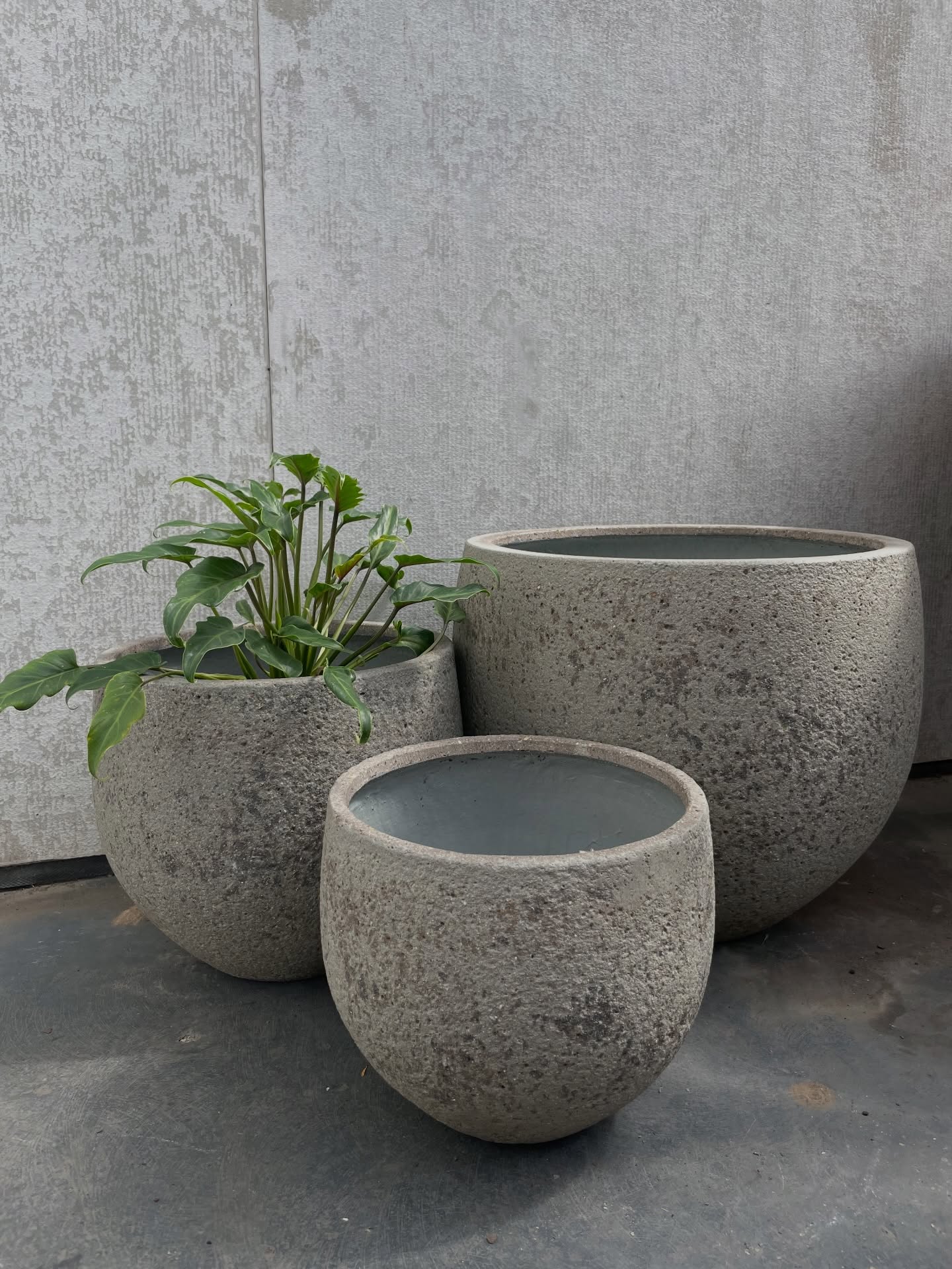 POTS, POTS AND MORE POTS!!
Transform your home with our new collection of round pots 🪴 Each piece features a unique textured finish with a soft grey interior.
Perfect for creating that minimalist aesthetic!
Available in three sizes to suit any space indoor or outdoor 🌿 Come grab yours today!
#plantpotsdesign #outdoorpots #perfectplants #plants #plantlife