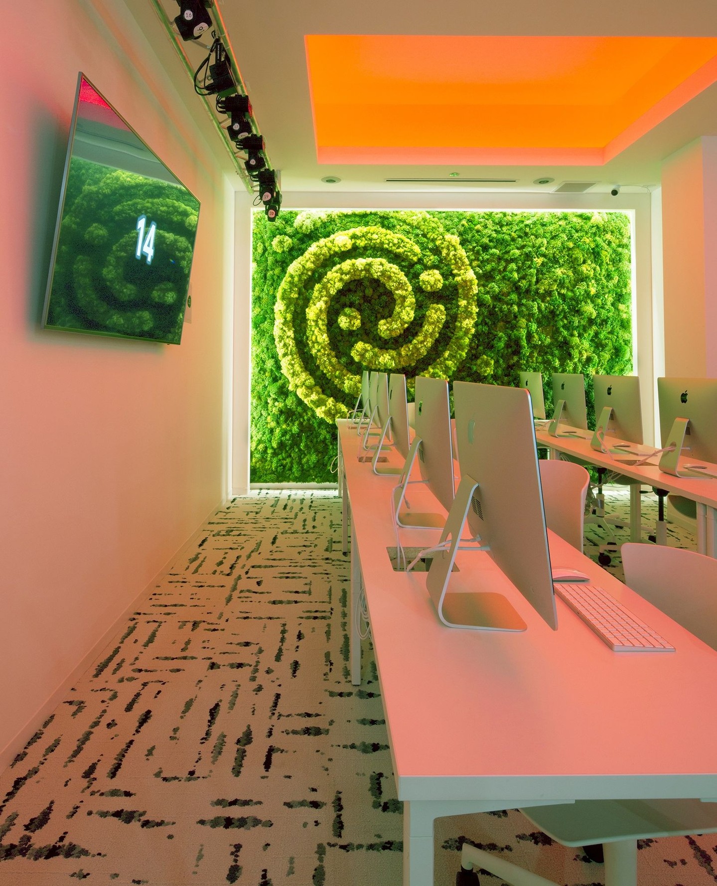 When #moss first started hitting the market, Kuchar jumped on the chance to work with this fun #material. We used it to incorporate the Codeverse logo in a fun way for this #classroom!
#designedbykuchar #kucharinteriors #chicagointeriordesigner #classroomdesign
📸: michellelitvin