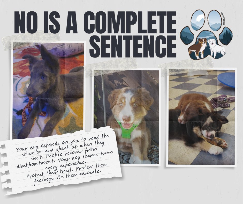 🐾 Advocating for Your Dog Matters 🐾
One thing I tell clients all the time:
You can always apologize to a person — but you can't apologize to your dog.
Just the other day, I did this myself with my foster puppy. As someone started to approach, I gave a quick nod, avoided eye contact, and calmly moved away before any interaction could happen. No explanation. No awkward conversation. Just clear communication and space.
That kind of proactive advocacy can make a huge difference.
It's okay to make it clear up front that you don't want your puppy or dog to engage — especially on leash. You're not being rude. You're protecting your dog's emotional well-being.
This matters even more during critical socialization periods and adolescence, when dogs are actively learning how the world works. During these stages, one scary or overwhelming experience can shape how they view people, dogs, or environments for a long time — sometimes for life. At best, it can mean a lot of extra work later through training and behavior modification.
Advocating for your dog looks like:
• Creating space before interactions happen
• Choosing not to allow greetings, even if others expect them
• Putting your dog's comfort over social pressure
• Remembering that emotional health is just as important as physical health
Your dog depends on you to read the situation and speak up when they can't. People recover from disappointment. Your dog learns from every experience.
Protect their trust. Protect their feelings. Be their advocate. 🐶💛
#AdvocateForYourDog #PuppySocialization #DogBoundaries #LeashEtiquette #BehaviorModification #K9Wisdom #DogNerd
