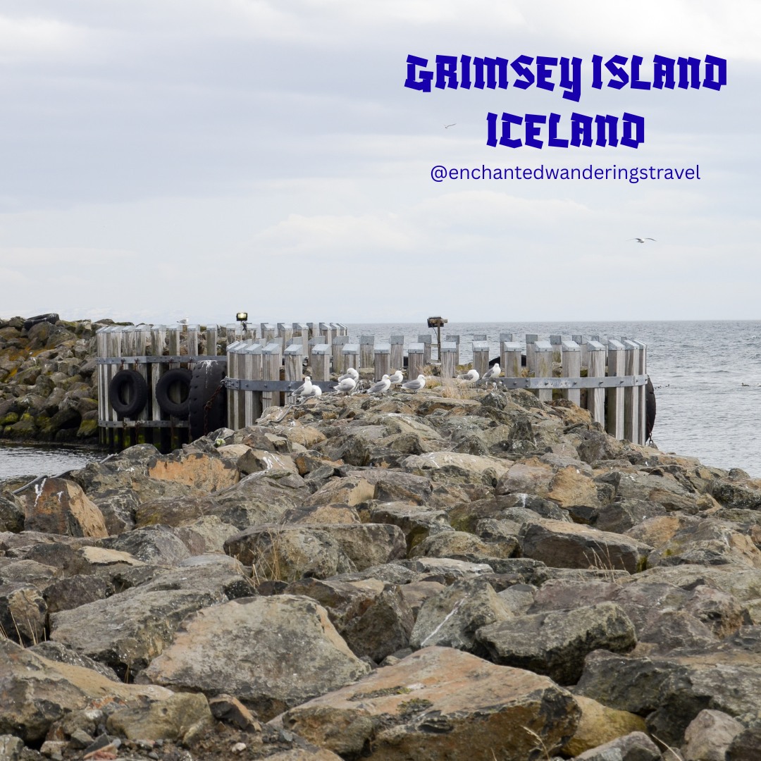 Grímsey Island, Iceland 🇮🇸🧊
A tiny, remote Arctic island where nature feels wild and wonderfully untouched.
This is one of the few places on Earth where you can physically cross the Arctic Circle.
Yes, on foot. 🚶♀️
The island is home to around 100–120 residents, and thousands upon thousands of seabirds.
Cliffs, open sea, fresh Arctic air, and quiet that feels almost unreal.
You can walk from the south end of the island to the north and officially step into the Arctic Circle.
Many travelers even receive a certificate 📜 from local services to mark the moment.
Small island.
Big Arctic energy.
#grimseyisland
#iceland
#arctic
#luxurytravel
#cruiseline
#cruiseplanner