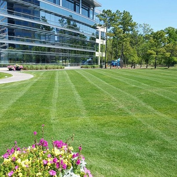 www.psmsmartbiz.com
Commercial Grounds Keeping
Grounds keeping is an integral part of a property’s appeal, value, and safety. We understand the need to ensure a property’s attractiveness to prospective investors, residents, tenant’s clients, and visitors alike.
PSM smartly utilizes its human talent in the grounds keeping division ensuring their adherence to quality, aesthetic, and standard practices. Our solutions help properties maintain their “curb appeal” as well as functionality.
PSM can be an Integral part of your properties upkeep needs.
Give us a call!
888-816-4220