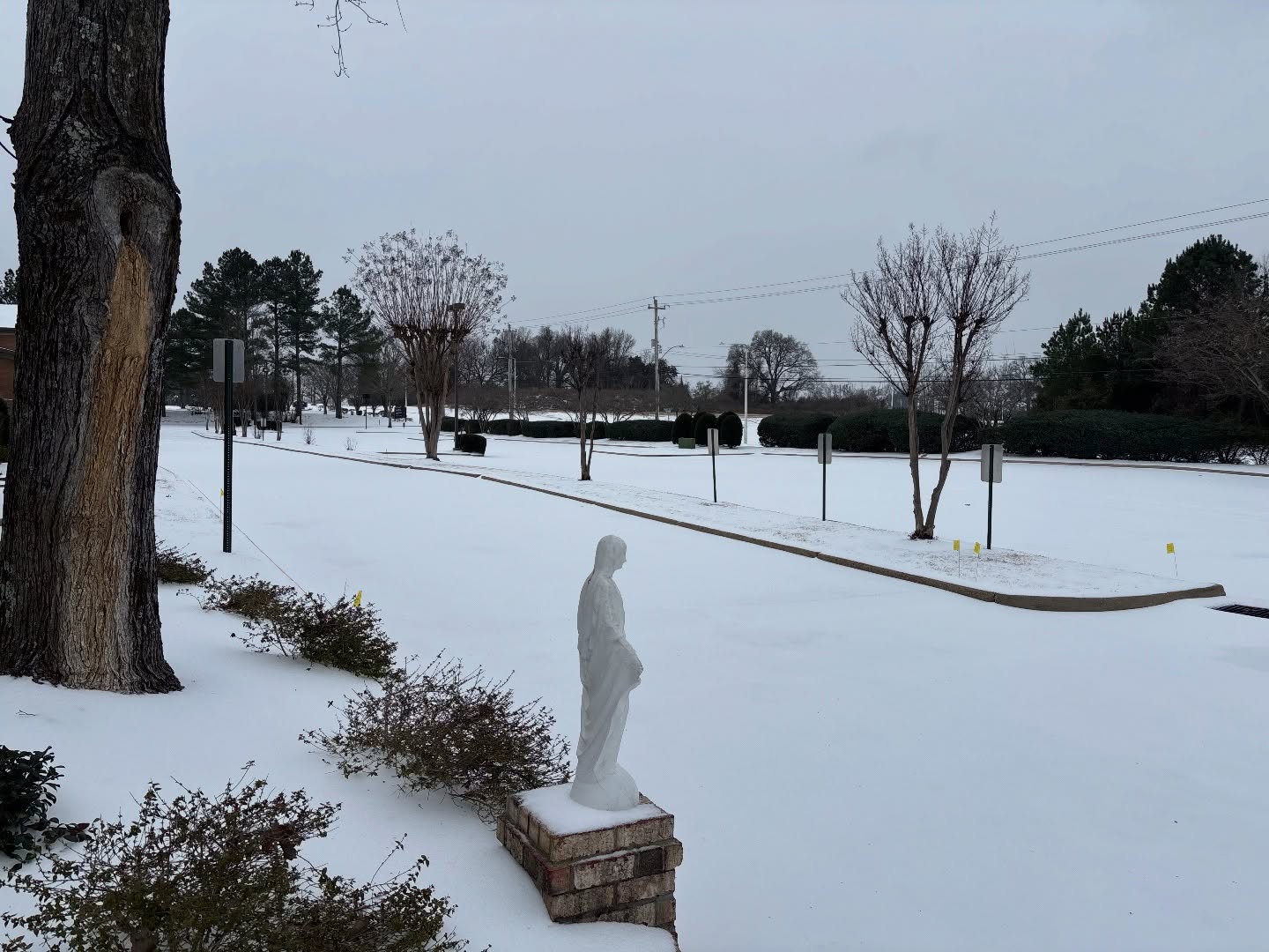 ?️ 8:00 AM and 12:15 PM Sunday Masses at Incarnation are cancelled, as well as all classes and meetings. Tonight’s Vigil Mass and tomorrow’s 10:30 AM Sunday Mass are still on. Please be safe and stay warm!
#incarnationcollierville