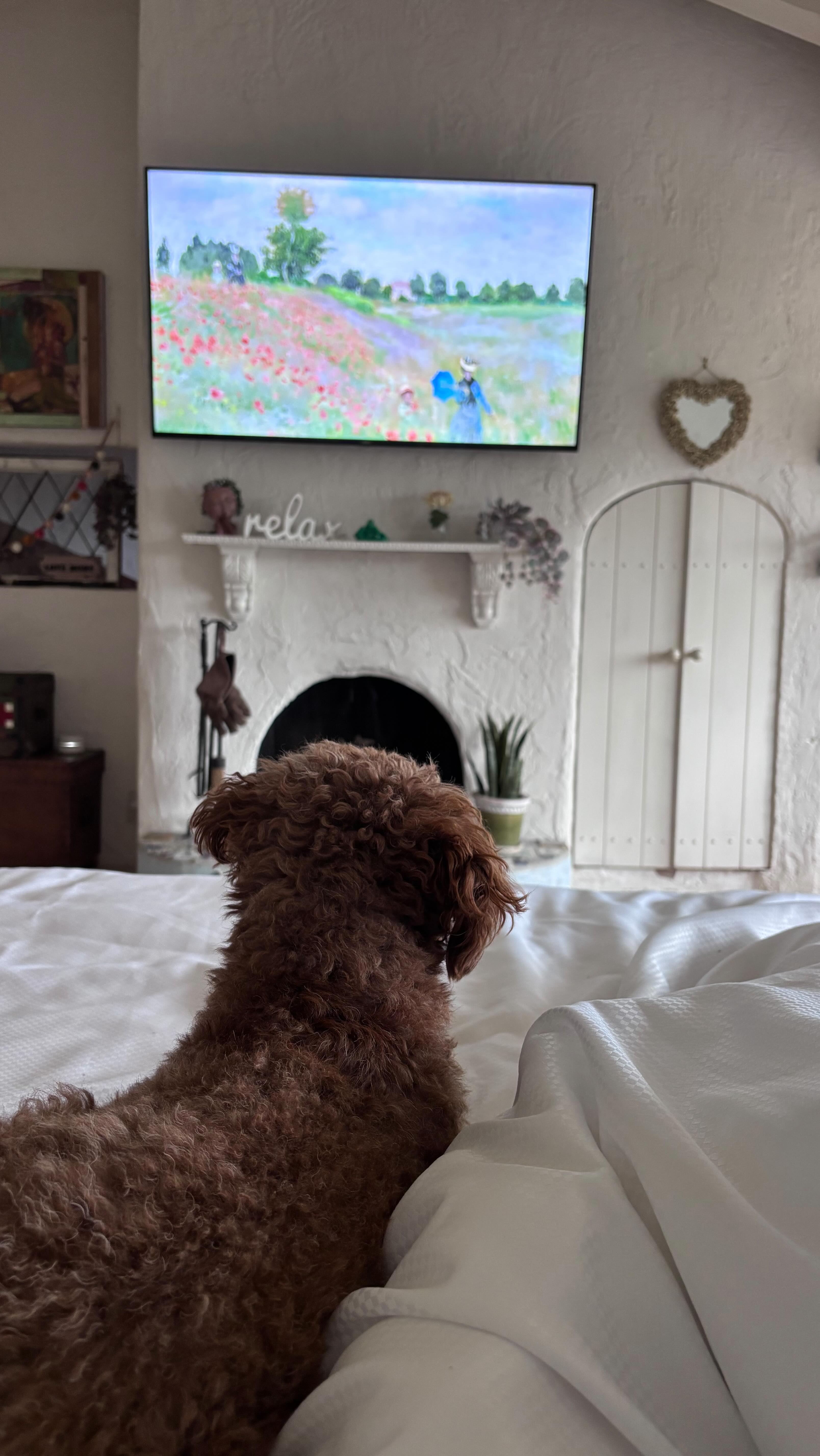 Midlife taught me this the hard way:
when I abandoned myself, no one else benefited.
Not my work.
Not the people I loved.
Not my faith.
Not my body.
Now Iām doing life differently.
Slower.
Quieter.
Breathing before producing.
Listening before reacting.
Choosing care over chaos.
This season isnāt about doing less.
Itās about doing what actually you want instead.āØ
If youāre here tooā¦š¤
this is your permission slip.
Donāt abandon yourself anymore. š¤
#gritandgrace #midlifewomen #menopausewisdom #morningritual #menopause