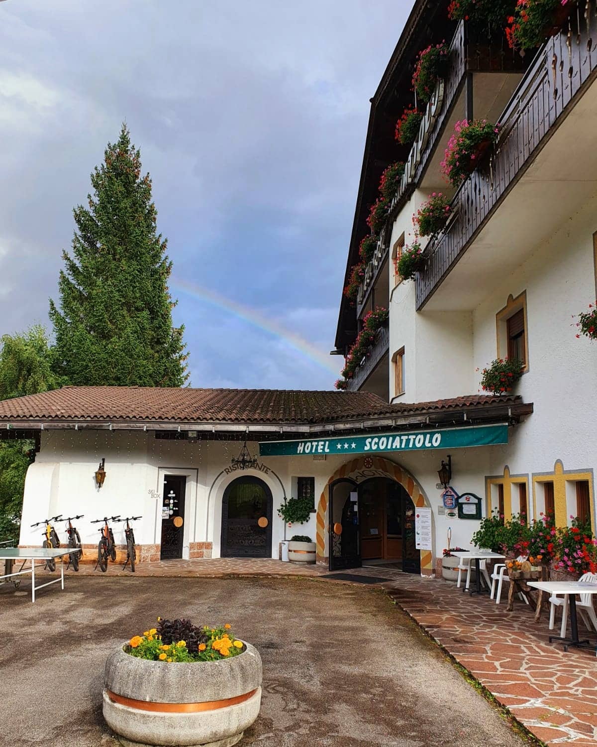 ??.
.
.
.
.
.
.
.
.
.
.
.
.
.
#arcobaleno #rainbow #cielo #hotel #falcade_dolomiti #falcade #fiori #flowers #dolomites #dolomitibellunesi #dolomiti #dolomitiunesco #photooftheday #travelphotography #turismomontagna #mountains #montagnachepassione #montagne #mountainbike #ebike #bici #beautiful #benessere #wellness