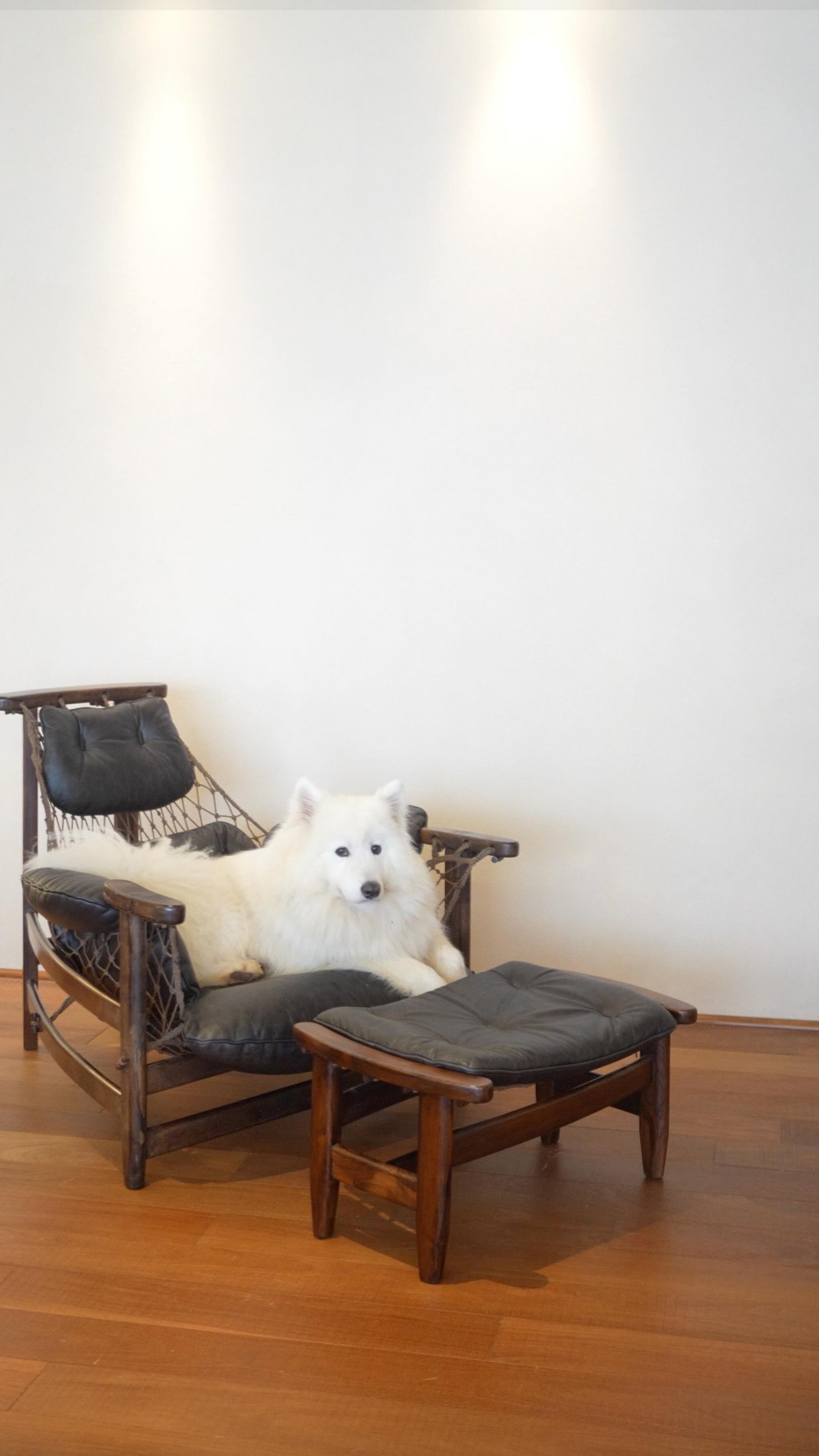 Algumas peças dispensam apresentações.
A Poltrona Jangada, com design de Jean Gillon, é uma delas, um dos grandes ícones do mobiliário moderno brasileiro.
Produzida em jacarandá da Bahia e couro, a Jangada teve sua estreia em 1968, pela WoodArt, e seguiu em produção nas décadas de 1970 e 1980 por fabricantes como Italma e Probel, também em diferentes madeiras nobres. Este exemplar, 100% em jacarandá, preserva o desenho escultural e o conforto que consagraram a peça.
Como contamos no vídeo, esta poltrona foi adquirida de uma família e chegou até nós acompanhada de documentação fotográfica, que registra sua presença ao longo dos anos: crianças sentadas na poltrona, cenas do cotidiano, uma mãe amamentando, momentos importantes como batizados.
Essa documentação comprova não apenas a autenticidade da peça, mas também o cuidado e o vínculo afetivo construído em torno dela ao longo de gerações.
Uma poltrona autêntica, que atravessou o tempo preservando matéria, memória e história.
📍 Disponível em nosso acervo: www.loraronco.com.br
📞 Fale conosco: (11) 99122-7578
#loraroncogaleria #designbrasileiro #braziliandesign #mobiliáriomoderno #mobiliariomodernobrasileiro