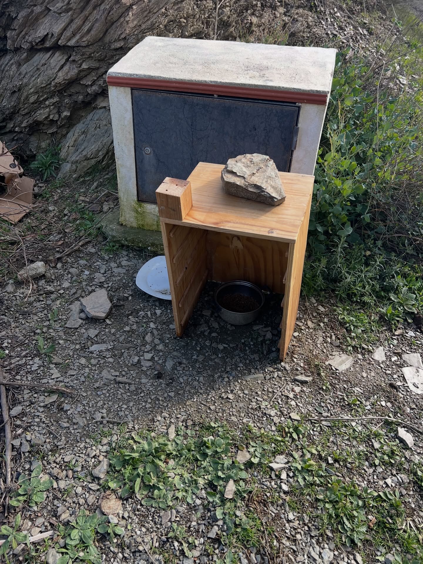 Na jaren van het voeren van zwerfdieren ben ik helaas gewend geraakt aan vernielingen: kapotte of weggegooide voer- en drinkbakken, en zelfs pogingen tot vergiftiging 🤬😢
Juist daarom raakte het me gisteren zo diep toen ik zag dat iemand een overkapping had gemaakt voor een voerbakje bij een kleine voerplek aangezien de regen maar aanhoudt.
Ik weet niet wie het was, maar het deed me enorm goed. En tegelijk voelde het verdrietig dat zo’n klein gebaar van zorg zo uitzonderlijk is, in plaats van normaal.
Aan de anonieme helper: dank je wel! Jouw kleine daad van vriendelijkheid maakt echt verschil — voor de dieren én voor mijn vertrouwen 🐾🧡