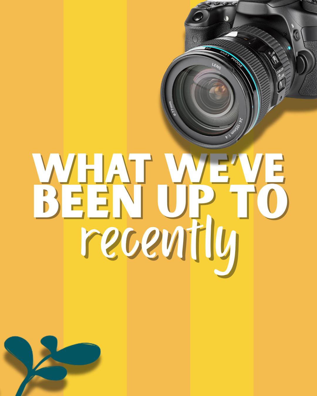 Wondering what we've been up to recently? Swipe!
Need help upgrading your branding, socials or website? Get in touch today via the link in our bio.