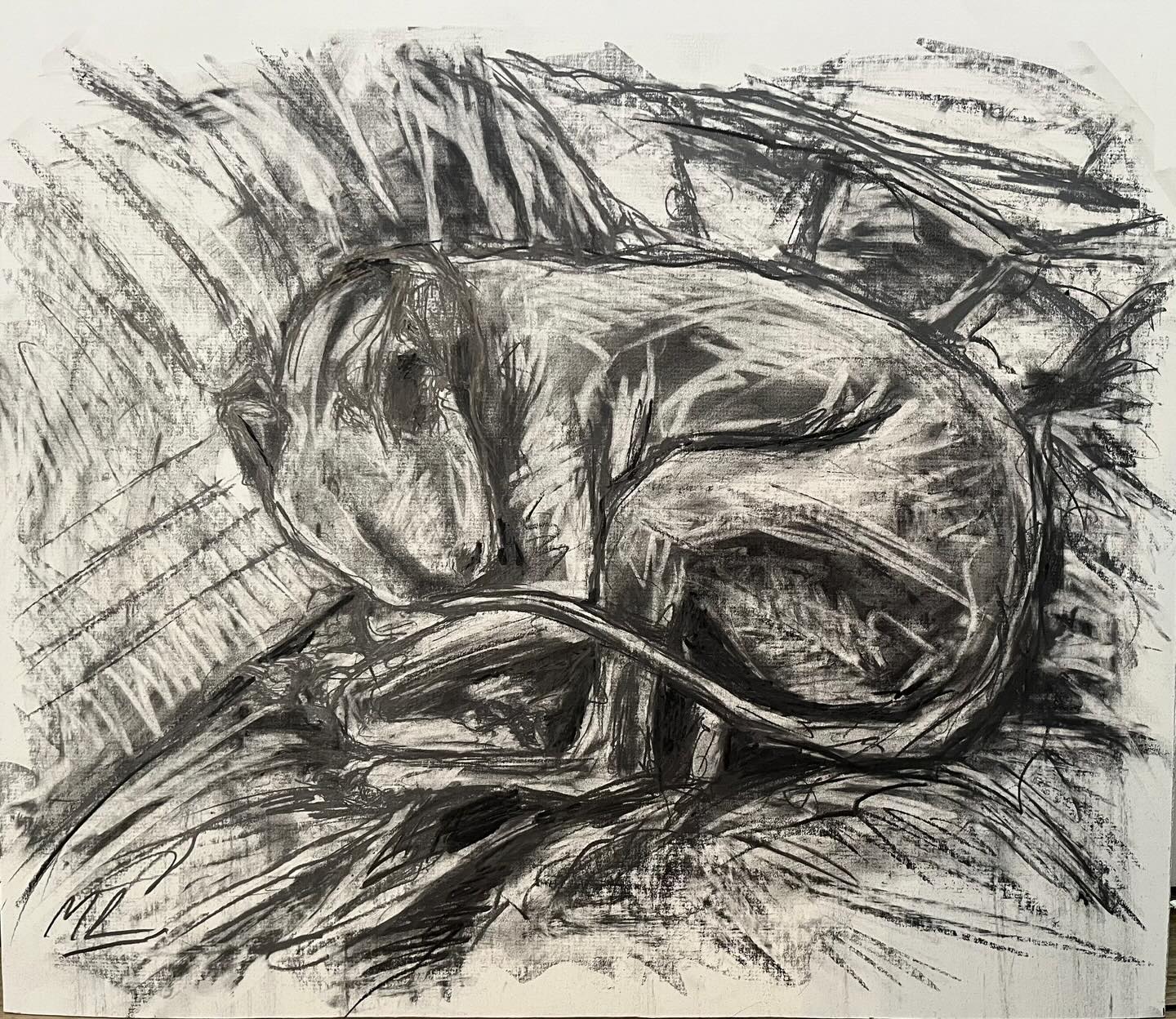 ?✨ WE ARE BACK TO IT ?✨ Happy 2026 to all and bring on the end of JANUARY. We have sent a mailout to all clients with an exciting update on our forthcoming solo shows and plans for the year ahead - do DM us if you did not receive.
What better way to start 2026 than with a SOLO SHOW for superstar MAX LEAUCHARS @max_leuchars officially opening 2 FEBRUARY ?I am a huge fan of Max's drawings which never really get seen and they are beyond special, and do remember a work on paper is a good price my friends ! My favourite thing is a mix of different mediums in your collection - there is always space for a drawing. Please do let me know if you'd like to be sent the exhibition alert or pieces in advance! Sneak previews in this post. All works can be framed as you wish to suit the space you have in mind or can be purchased unframed #drawings #artforsale #buyart #luxury #artcollector