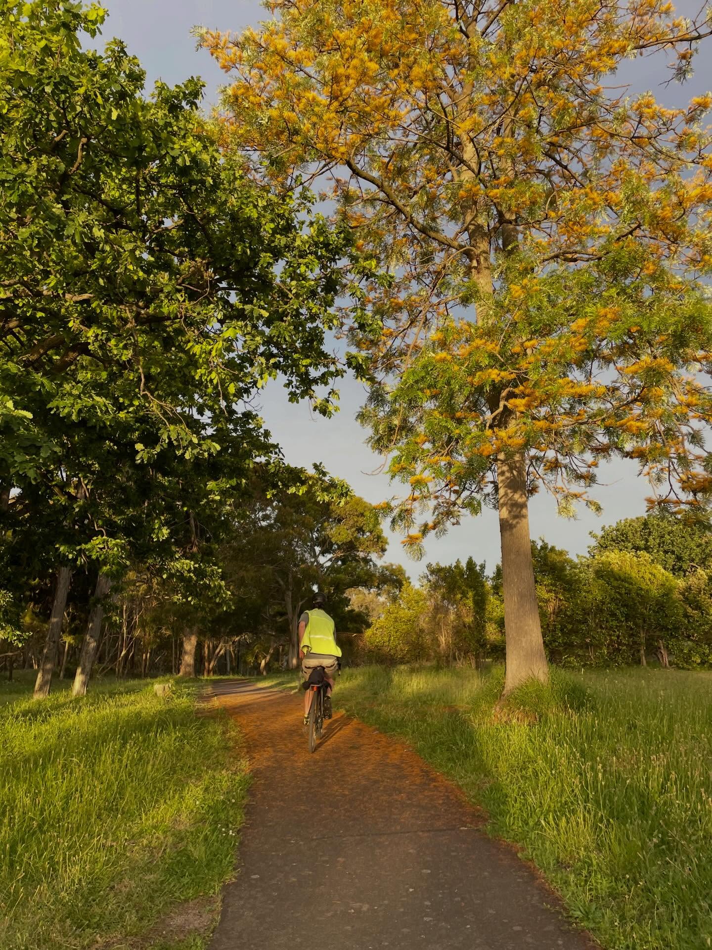 Gonna be a hawt one tomorrow but Durt is a beacon of hope to look forward to once the cool change comes in. Join us for a nice little spin on the Yarra trials and cool off in company. 6:15 for 6:30 roll out. No drop. Bring lights and a lock! See you there!
