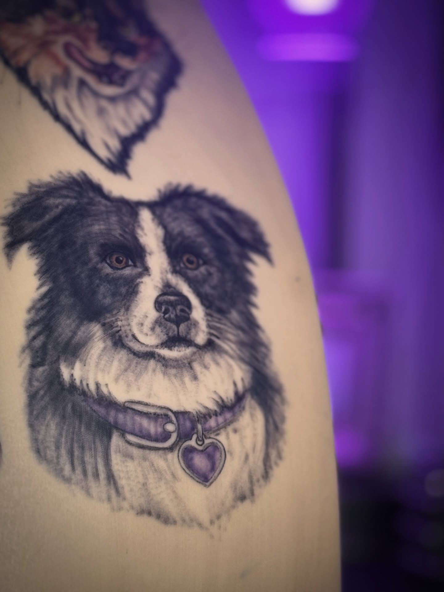 ?⬛??♀️? ?
I know I post a lot of cat tattoos, so here’s a little different fluff for your feed! A proud pup portrait brought to life on fake skin just to show my range and that the love goes beyond one species ??
? Keep your eyes on your feed.
I’ve got something amazing coming for February involving all pets.
?Hint:
One pet. One tattoo. One BIG impact ?✨
Any guesses??
#pettattoo #dogportrait #tattooartist #readingpa #dogtattoo