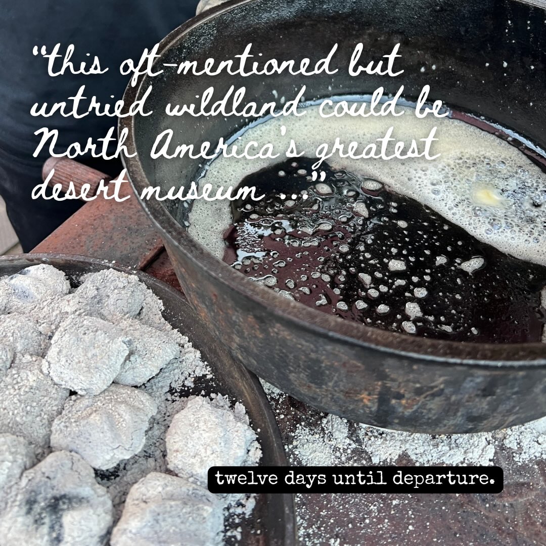 twelve days until departure.
.
PinDrop®️and media team to explore one of Arizona’s oldest historic trails.
.
four nights, one historic route, coordinates withheld.
.
stay tuned.
.
#pindroptraveltrailers #arizona #historictrail #microcamper #madeinusa
.
@ovrmag
@sunflarexplor
@arizonahighways
@azshpo
@borderlandia_az
@larry1pittman
@uschamber
@azchamber
@azmanufacturing
@visit_arizona
@arizona_outdoors