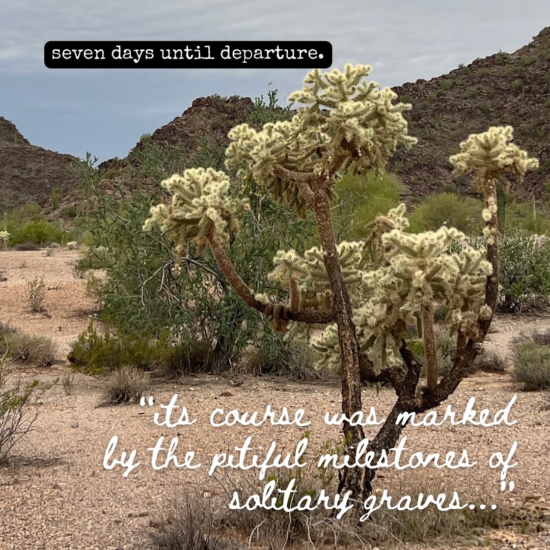 Built for places like this.
.
Extreme.
.
#microcamper #extreme #sonoran #borderland #pindroptraveltrailers
.
@borderlandia_az
@overlandexpo
@sunflarexplor
@ovrmag