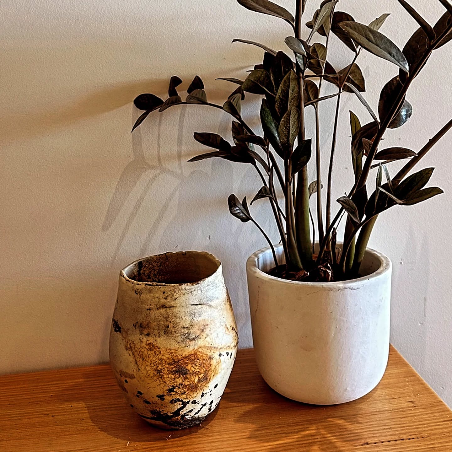 Saggar fired vessel looking happy in its new home. I always love it when customers send me pics of pots insitu. ๐งก
..
#saggar #potterydesign #homedecor #SunshineCoastpotteryartist